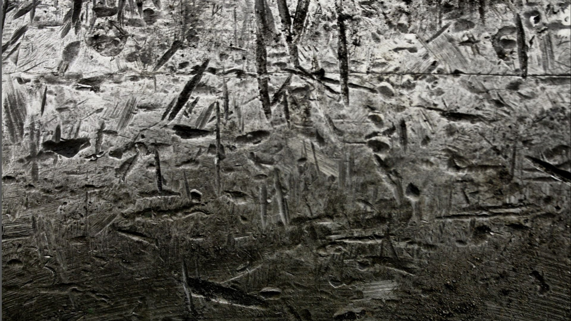 Обои текстура, дерево, ветвь, лес, рок в разрешении 1920x1080