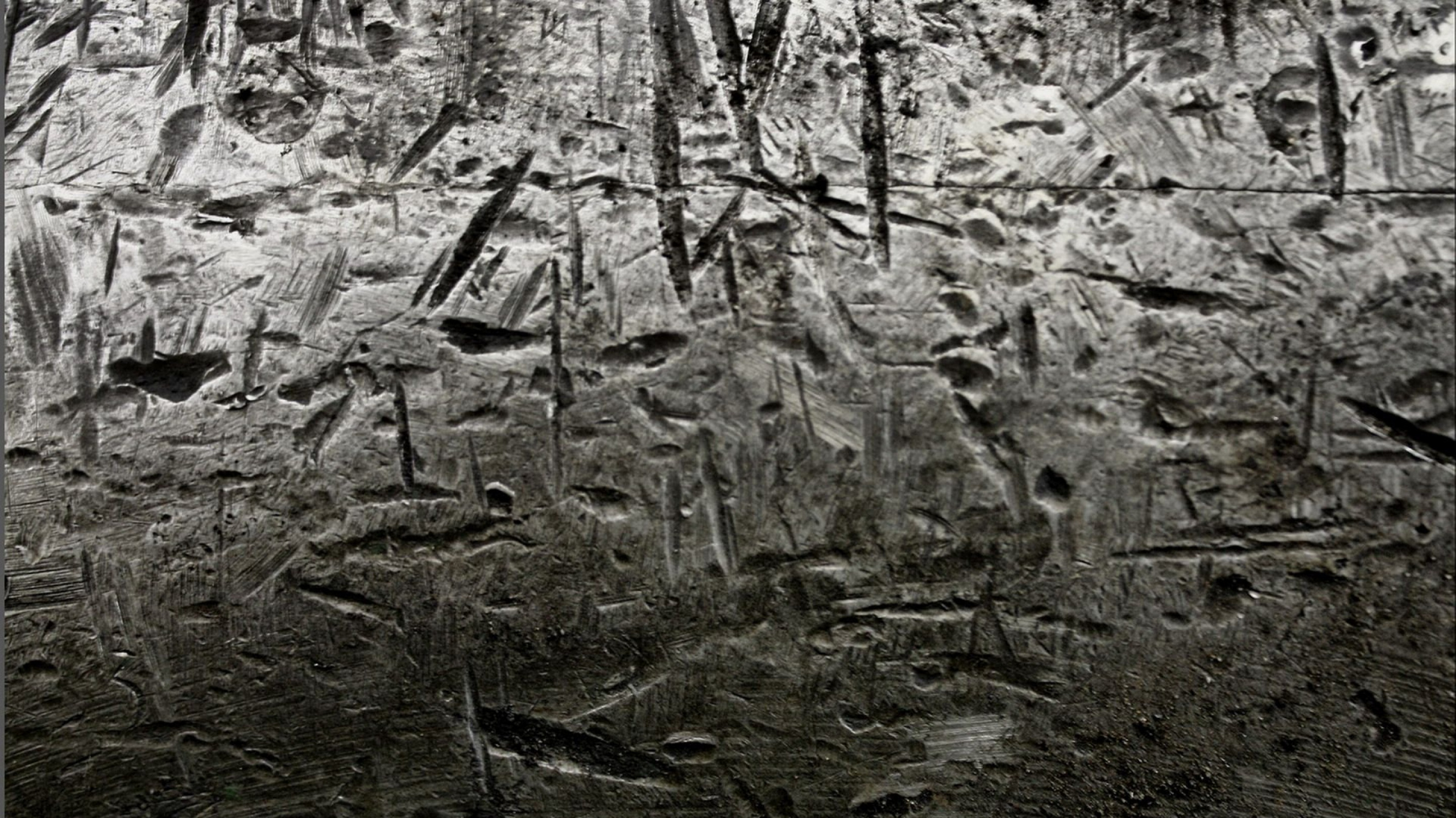 Обои текстура, дерево, ветвь, лес, рок в разрешении 2560x1440