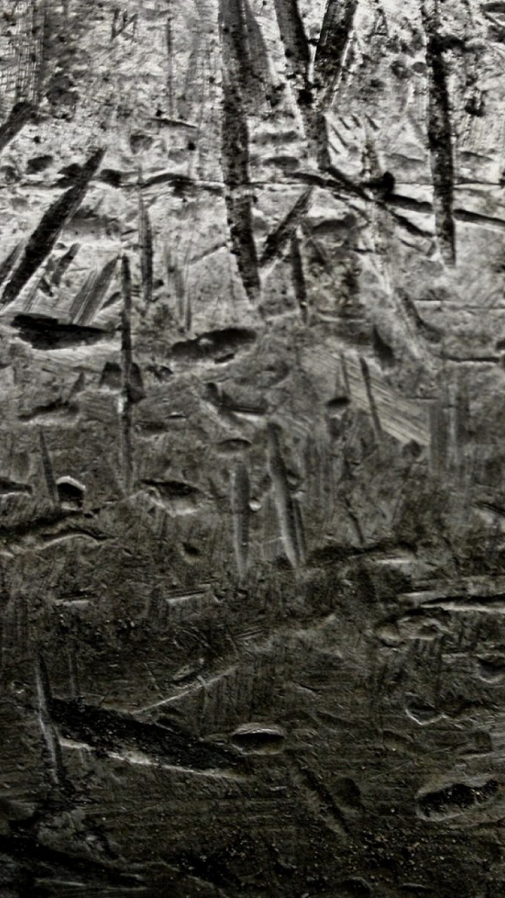 Обои текстура, дерево, ветвь, лес, рок в разрешении 720x1280