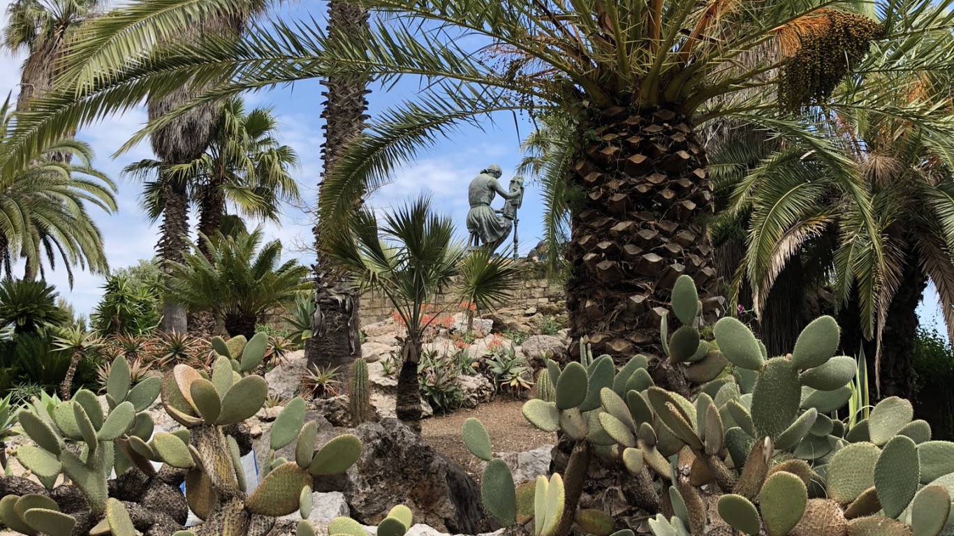 Обои растительность, биом, кустарник, пальмовые рощи, Масло пальмы в разрешении 1366x768