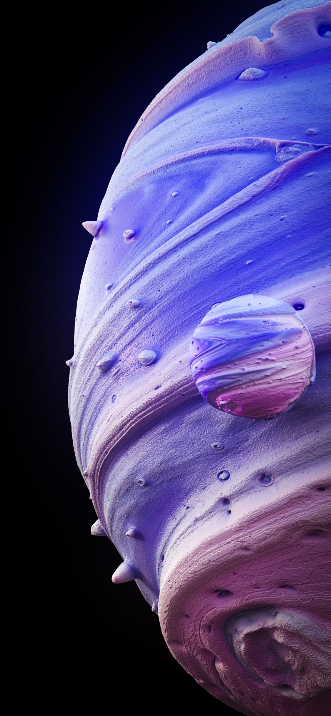 Обои крупный план, растение, цветок, пурпур, лепесток в разрешении 1125x2436