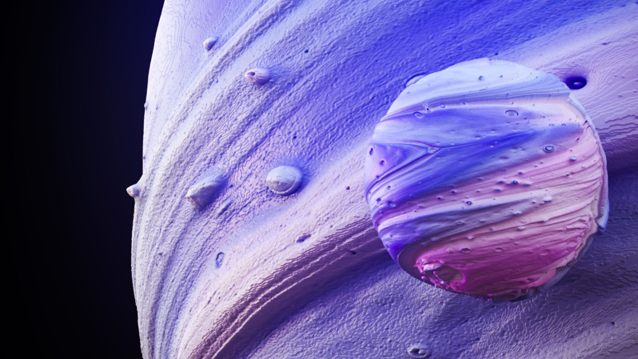 Обои крупный план, растение, цветок, пурпур, лепесток в разрешении 1280x720