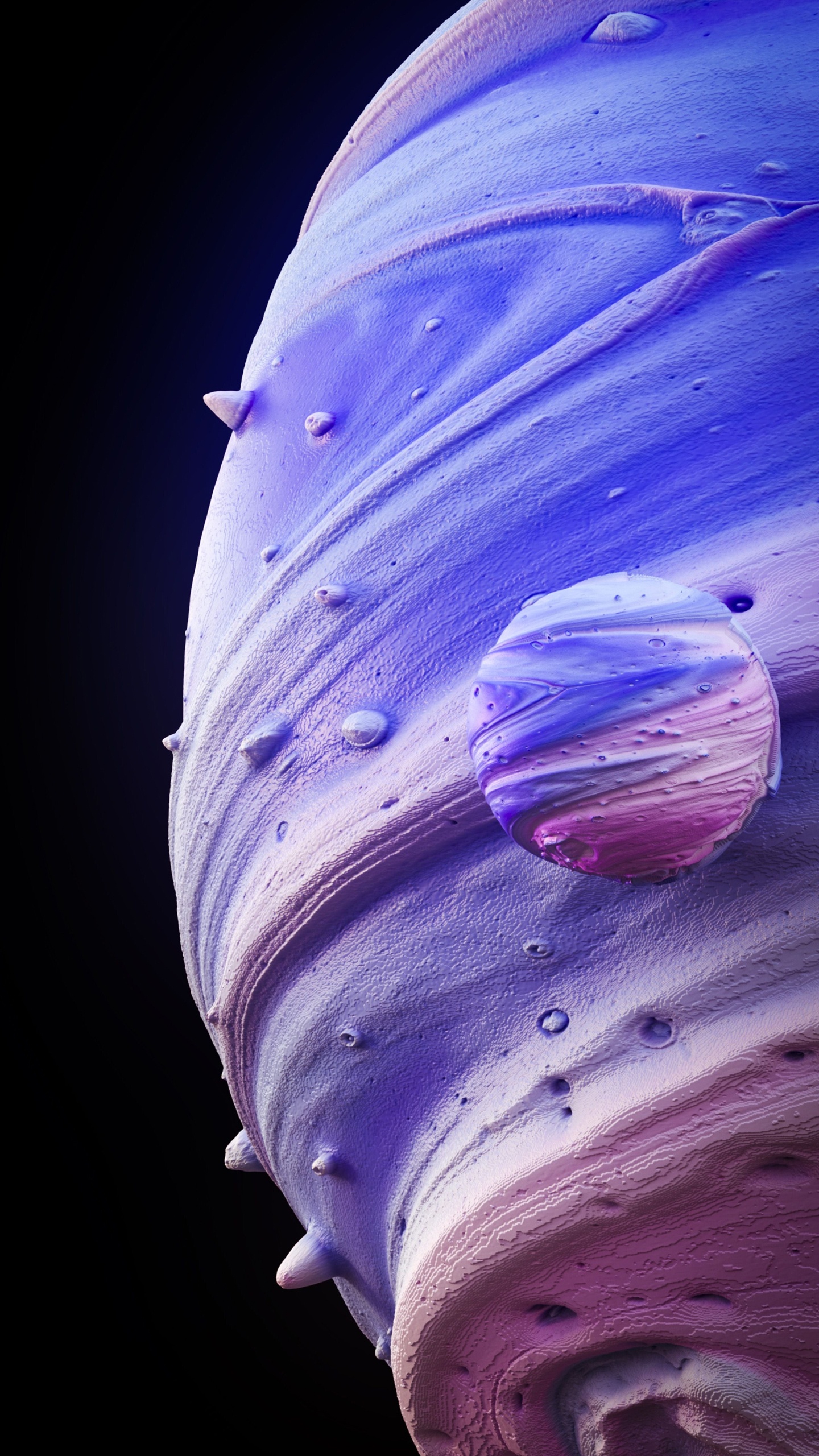 Обои крупный план, растение, цветок, пурпур, лепесток в разрешении 1440x2560