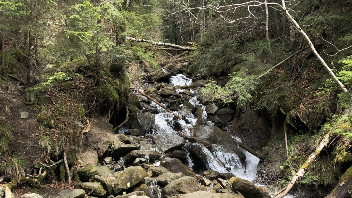 Обои Карпаты, природный заповедник, водоем, природа, растительность в разрешении 1366x768