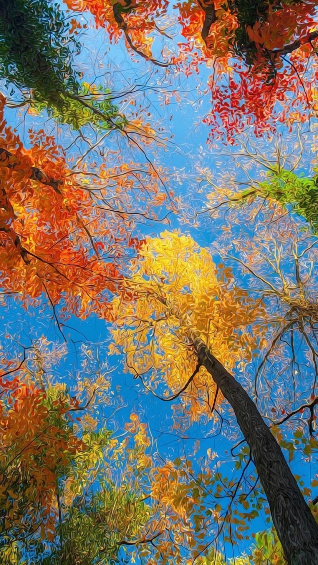 Обои осень, ботаники, Люди в природе, прут, ветвь в разрешении 1080x1920