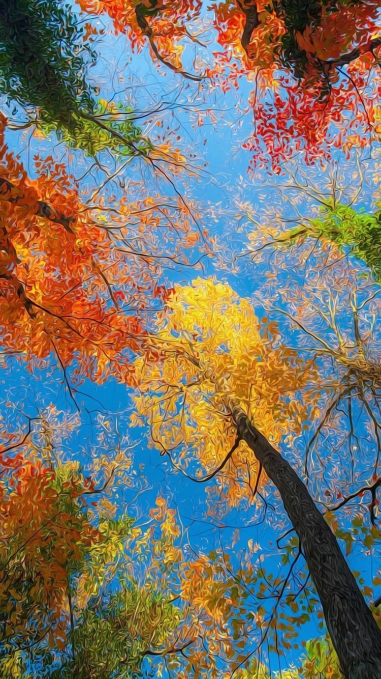 Обои осень, ботаники, Люди в природе, прут, ветвь в разрешении 750x1334