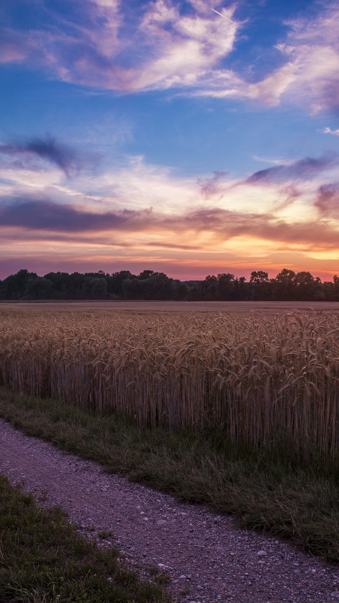 Обои утро, закат, пейзажная живопись, поле, горизонт в разрешении 1080x1920