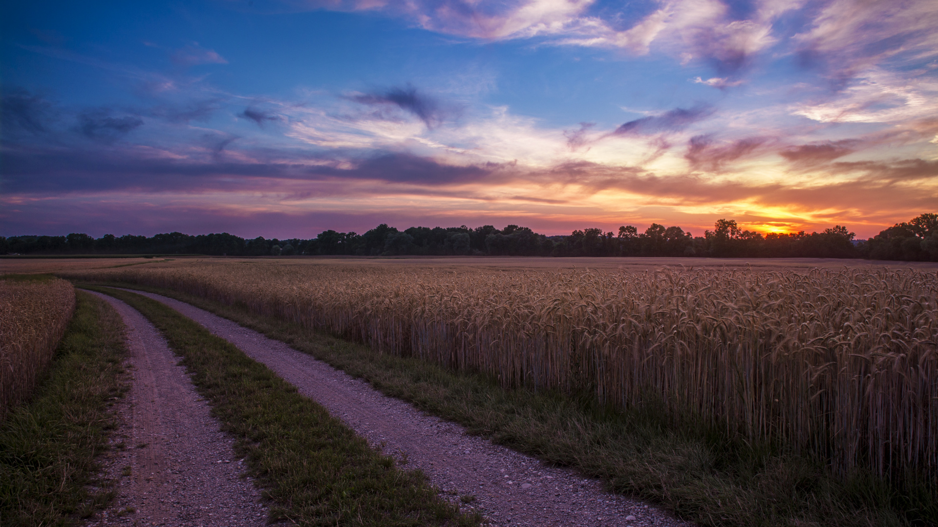 Обои утро, закат, пейзажная живопись, поле, горизонт в разрешении 1920x1080