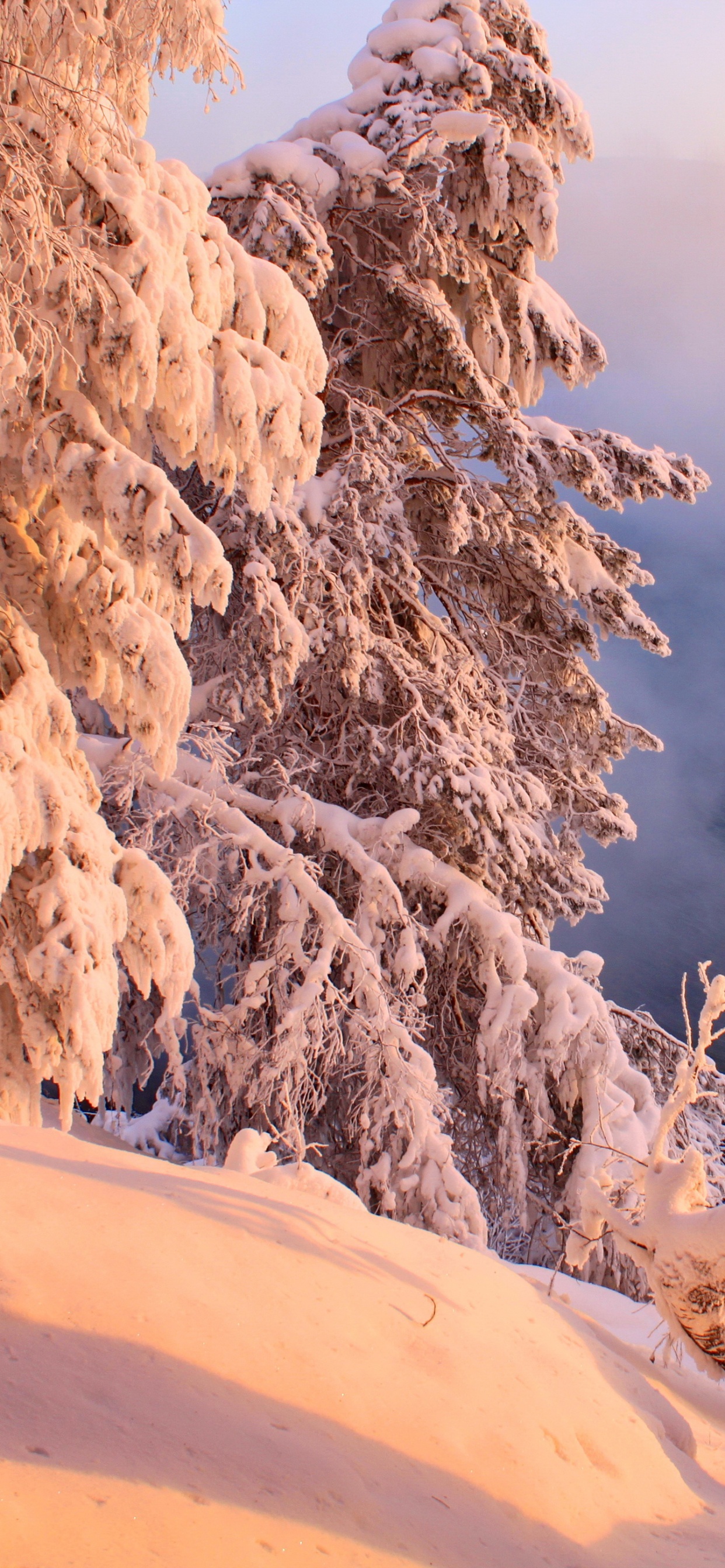 Обои формирование, каньон, рок, пейзаж, замораживание в разрешении 1242x2688