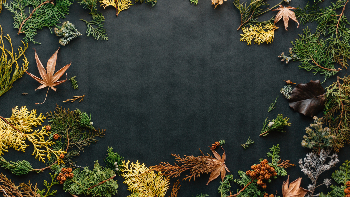 Обои Unplash Эрол Ахмед, вода, ботаники, лист, природа в разрешении 1366x768