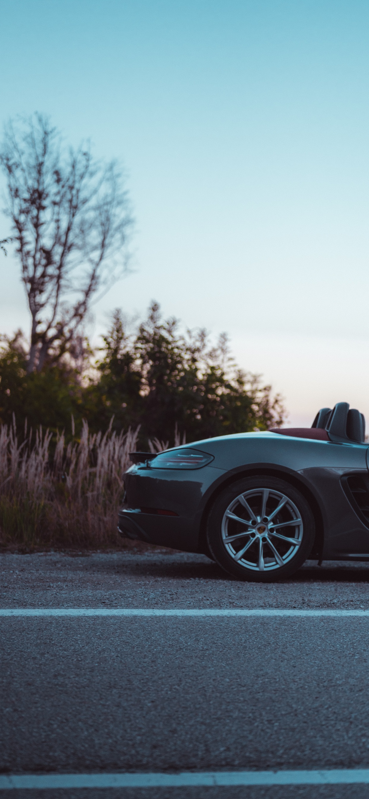 Обои Кабриолет, суперкар, спорткар, колесо, Порше каррера ГТ в разрешении 1242x2688