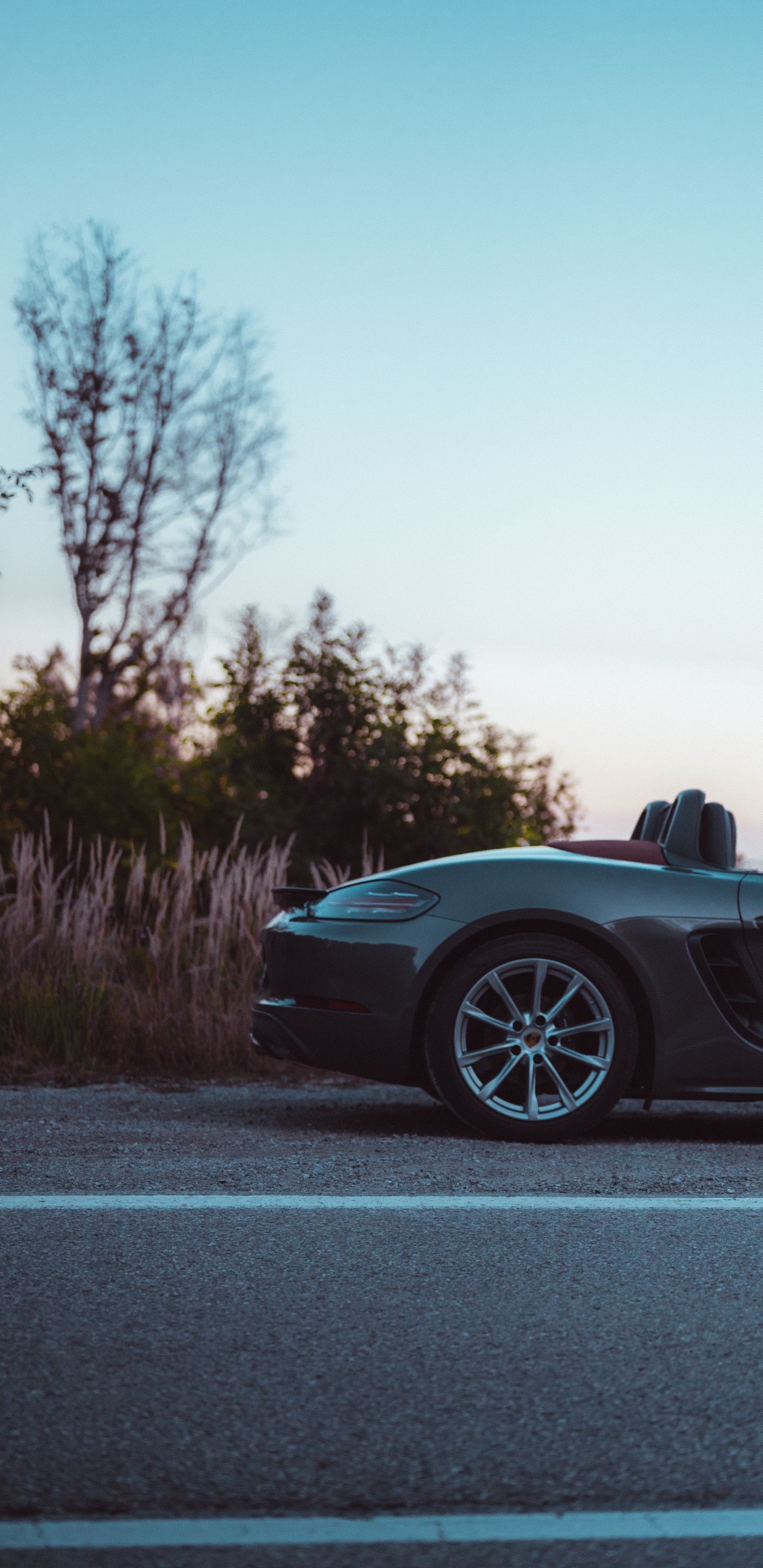 Обои Кабриолет, суперкар, спорткар, колесо, Порше каррера ГТ в разрешении 1440x2960