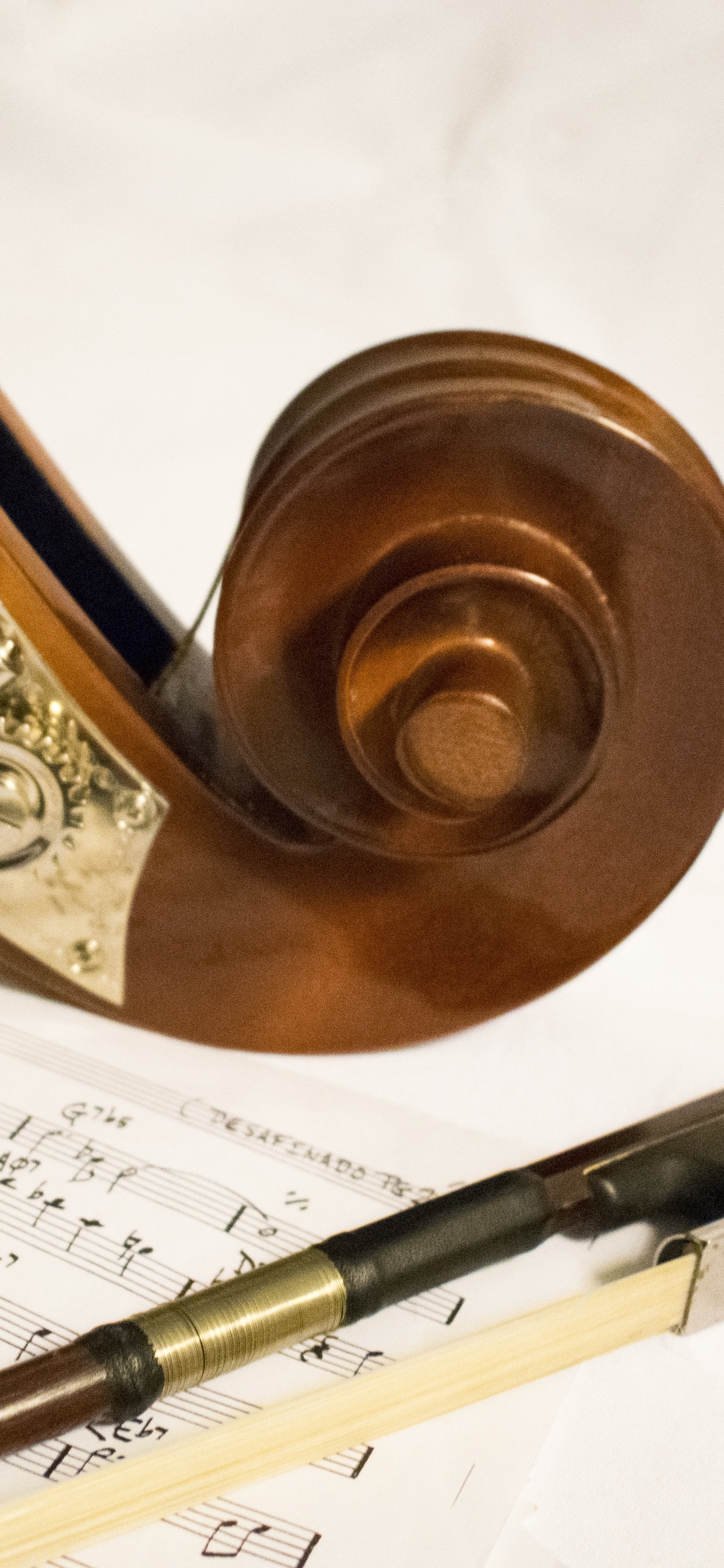 Обои контрабас, классическая музыка, музыка, музыкальный инструмент, композитор в разрешении 1242x2688