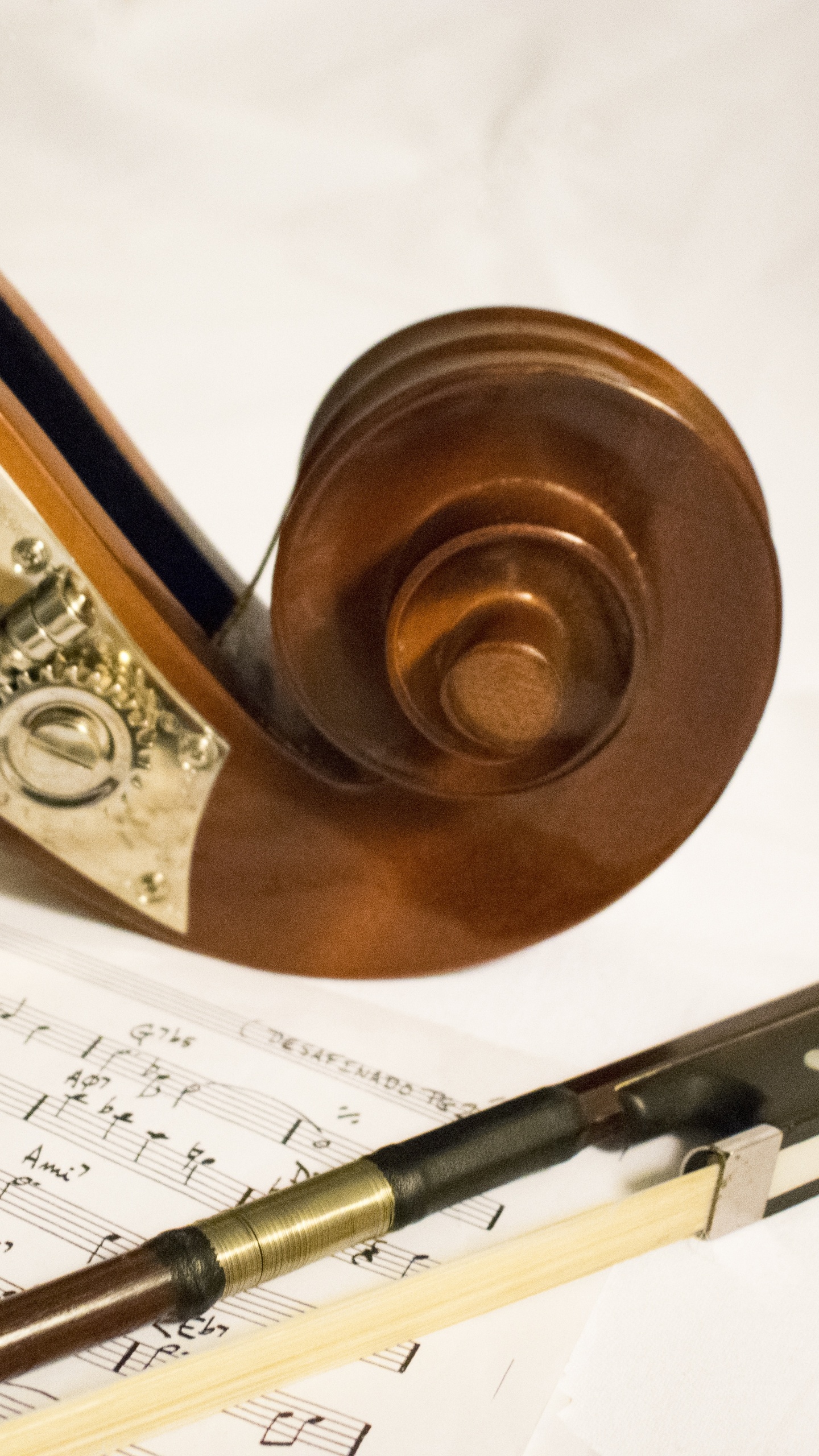 Обои контрабас, классическая музыка, музыка, музыкальный инструмент, композитор в разрешении 1440x2560