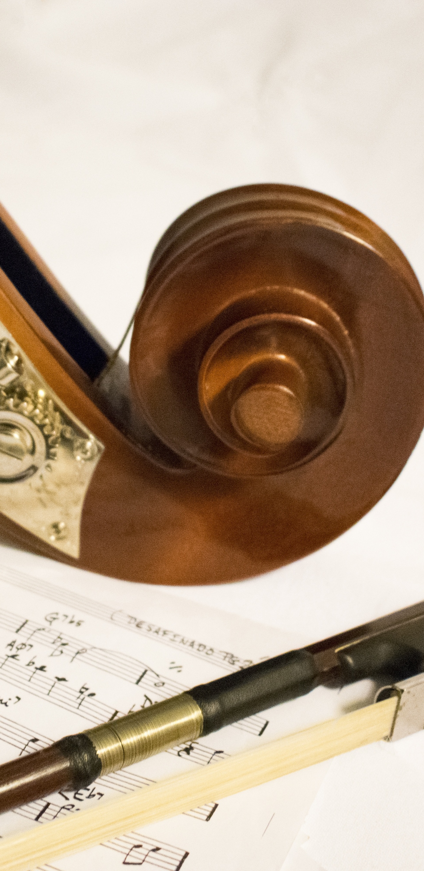 Обои контрабас, классическая музыка, музыка, музыкальный инструмент, композитор в разрешении 1440x2960