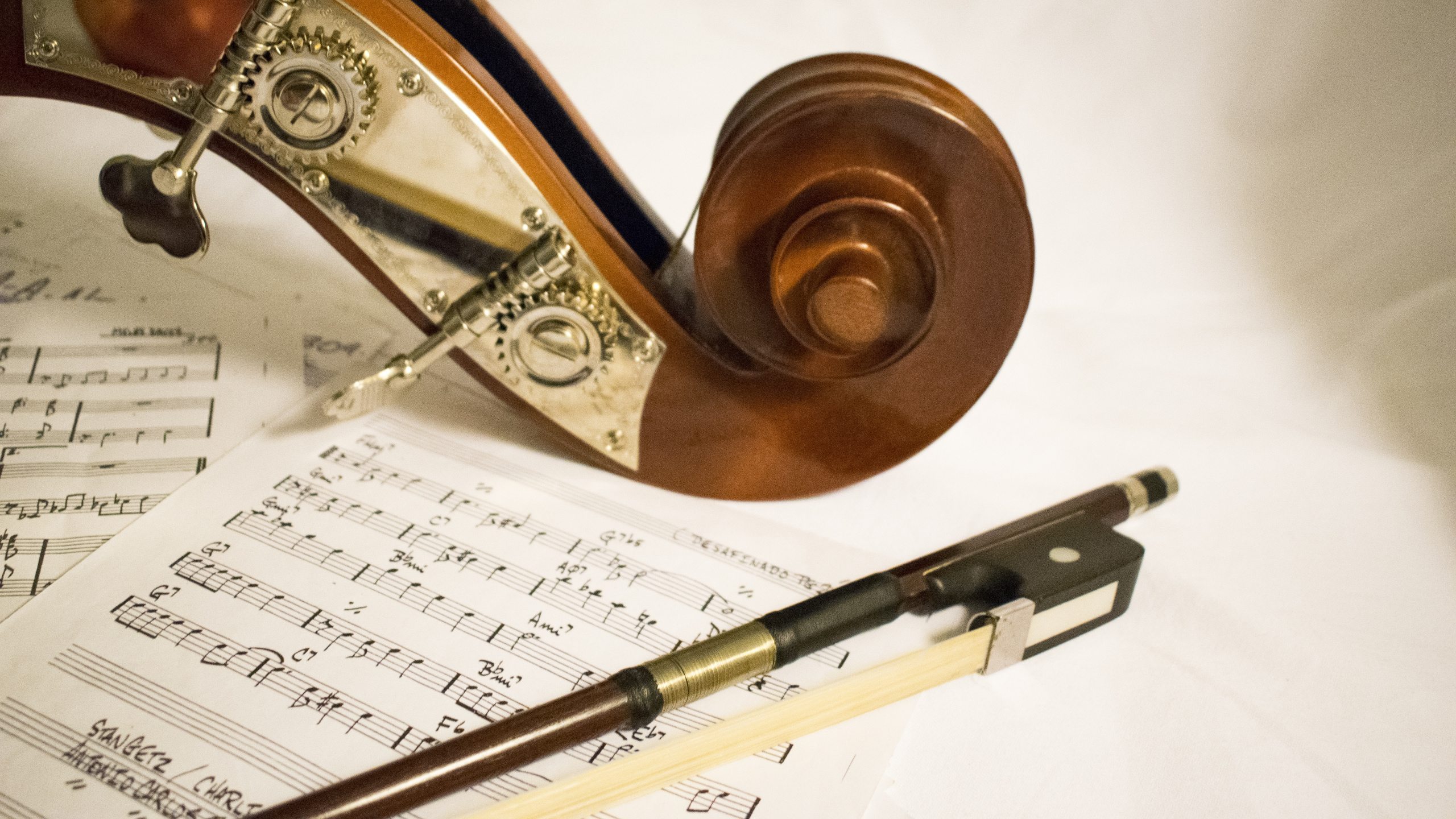 Обои контрабас, классическая музыка, музыка, музыкальный инструмент, композитор в разрешении 2560x1440