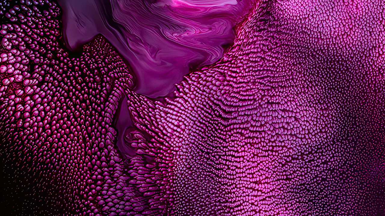 Обои Фиолетовый, розовый, свет, пурпур, яблоко в разрешении 1280x720