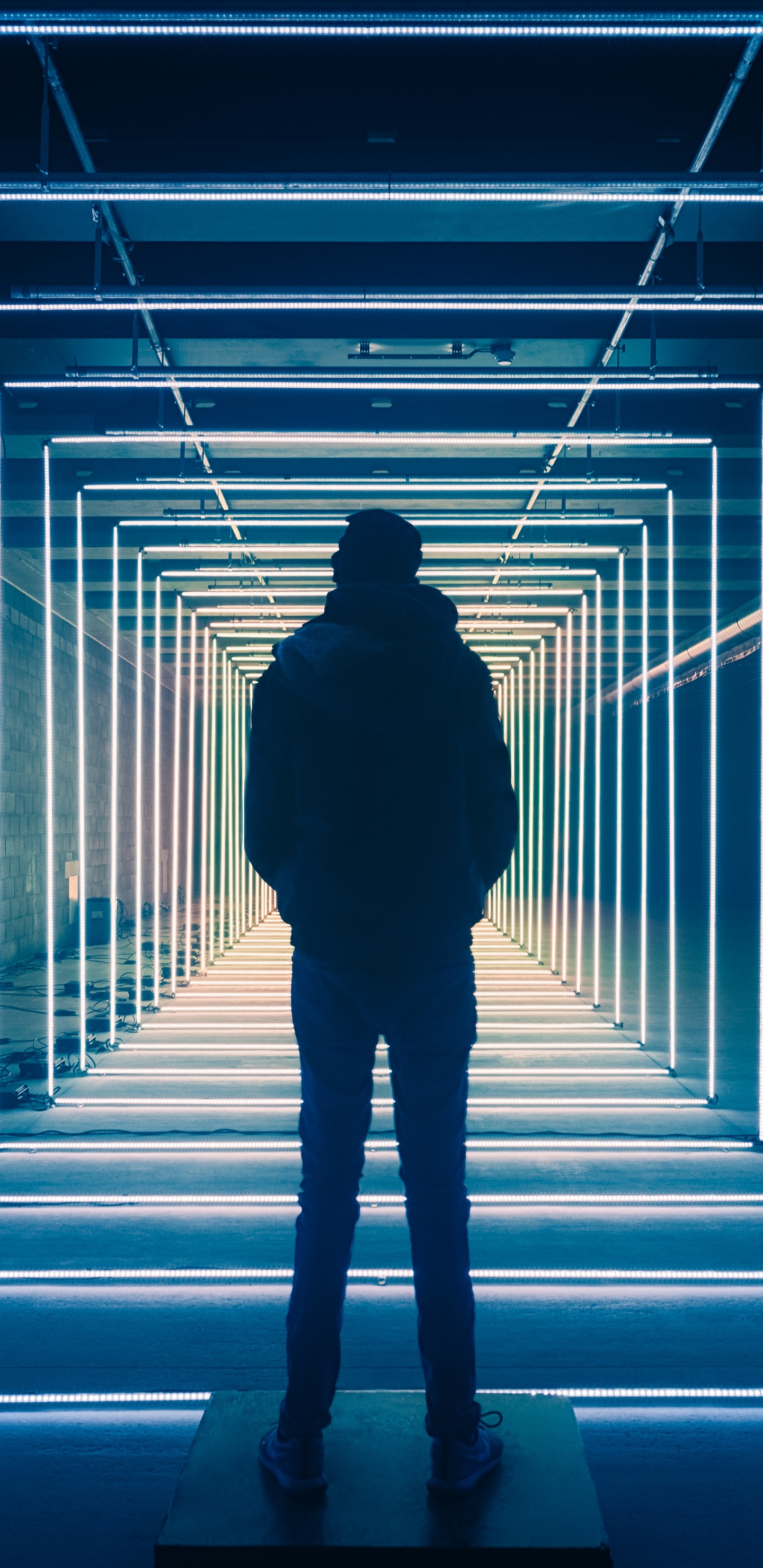 Обои свет, синий, черный, темнота, стояние в разрешении 1440x2960