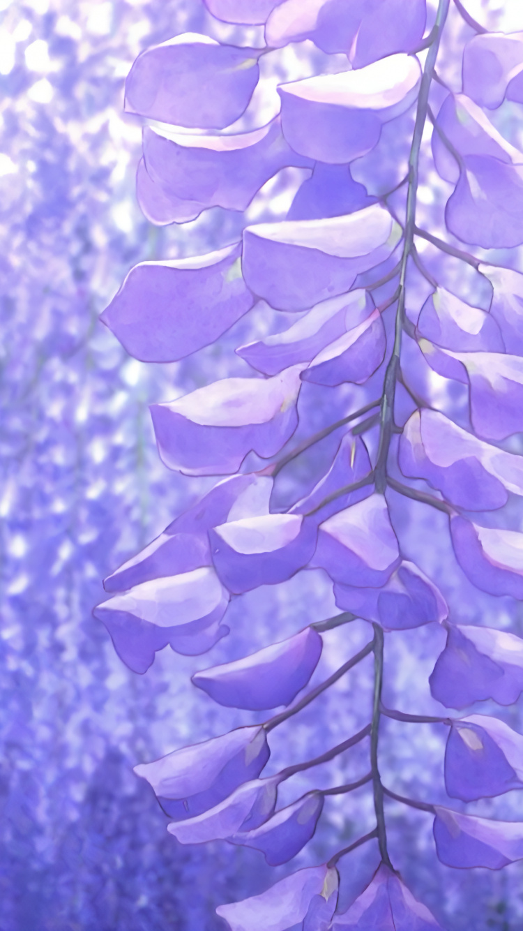 Обои истребитель демонов глицинии, лоза, цветок, убийца демонов kimetsu no yaiba, Японская глициния в разрешении 750x1334