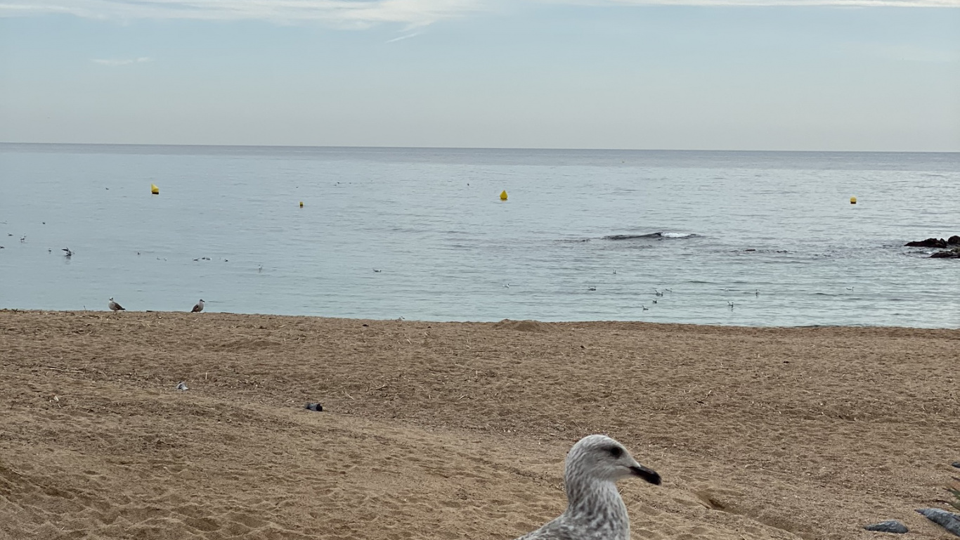 Обои море, вода, физика, водоем, жидкость в разрешении 1366x768