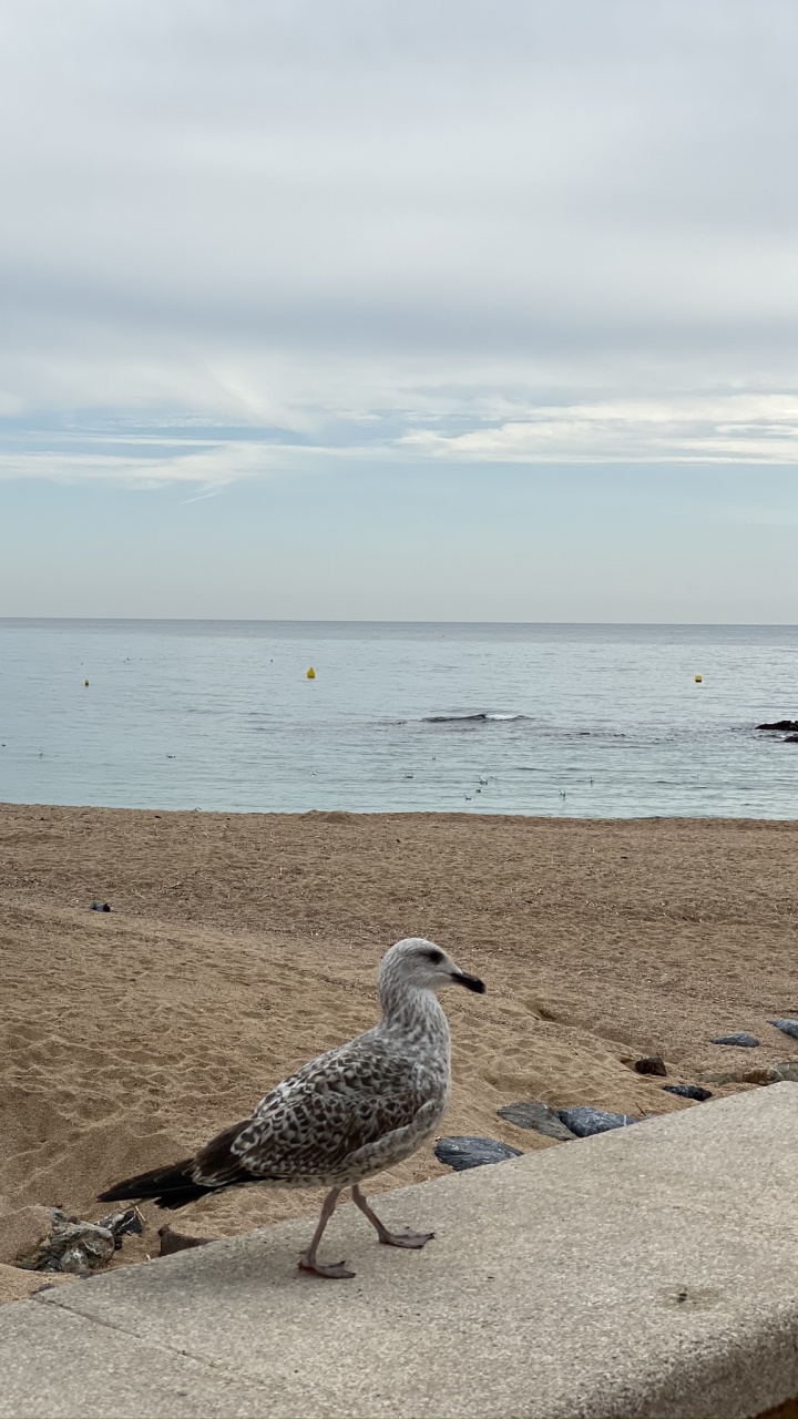 Обои море, вода, физика, водоем, жидкость в разрешении 720x1280