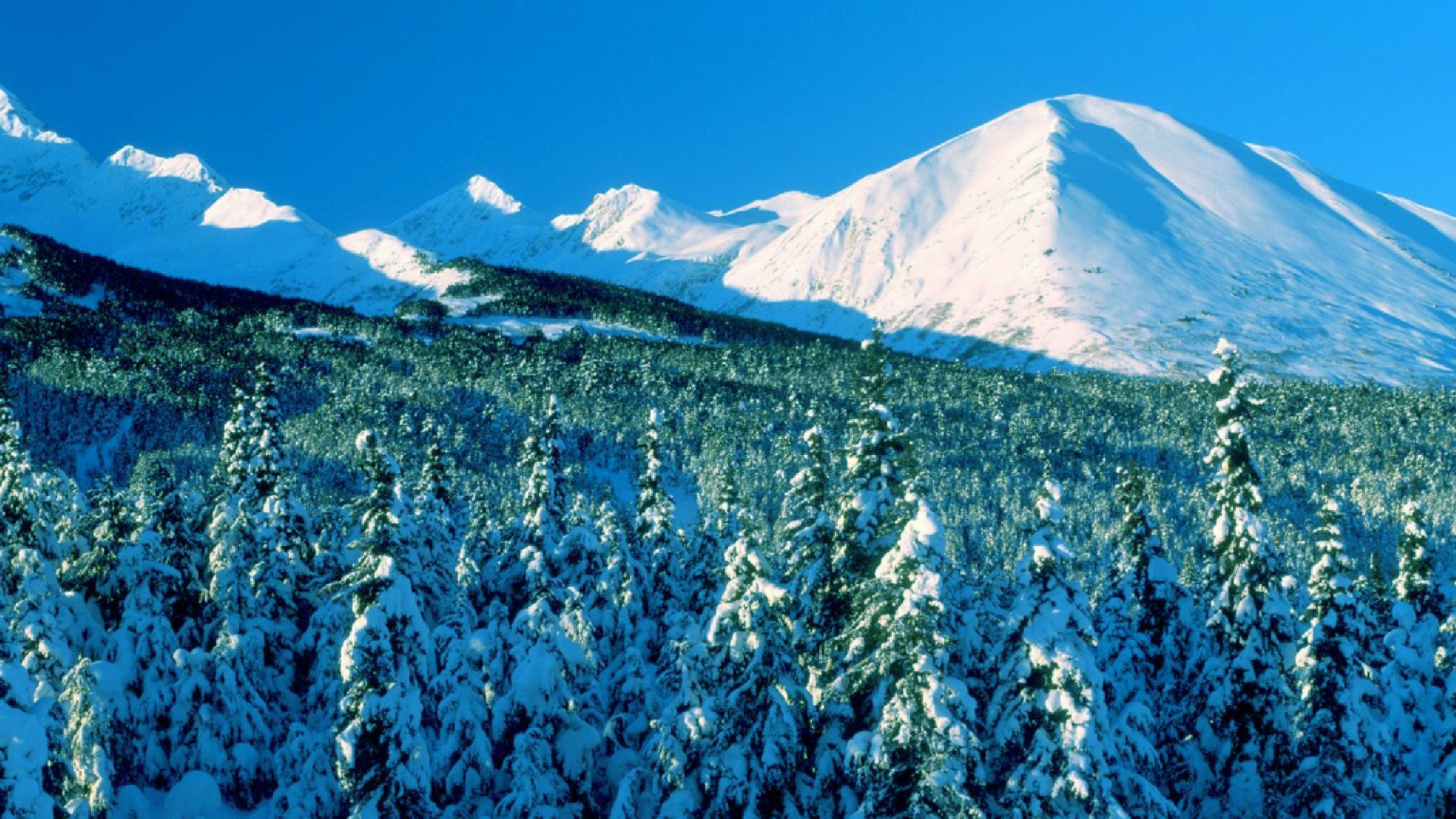 Обои зима, горный хребет, снег, гора, дерево в разрешении 1920x1080