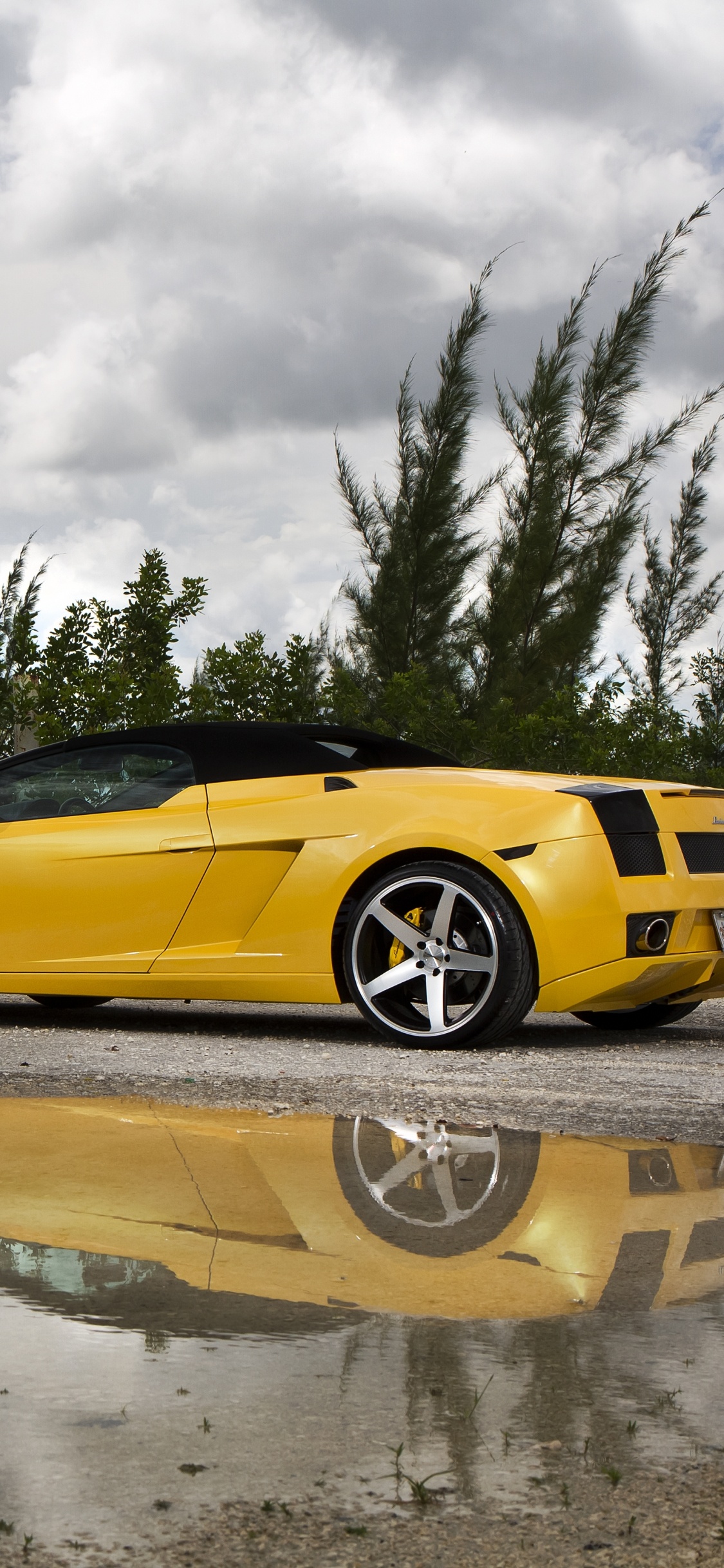 Обои Ламборджини Галлардо 2006, Ламборджини, спорткар, авто, Ламборджини Галлардо ЛП560-4 в разрешении 1125x2436