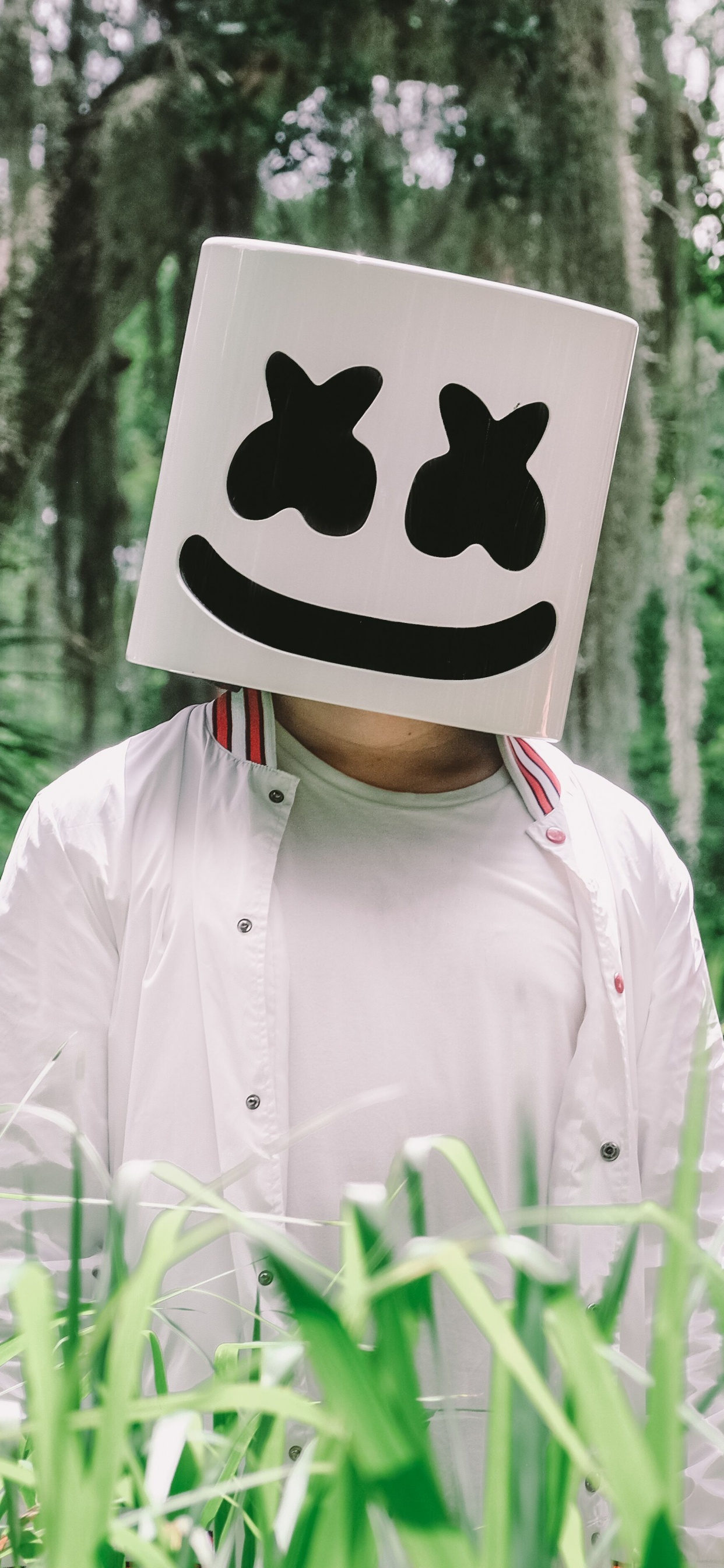 Обои молчание, Люди в природе, дерево, адаптация, растение в разрешении 1242x2688