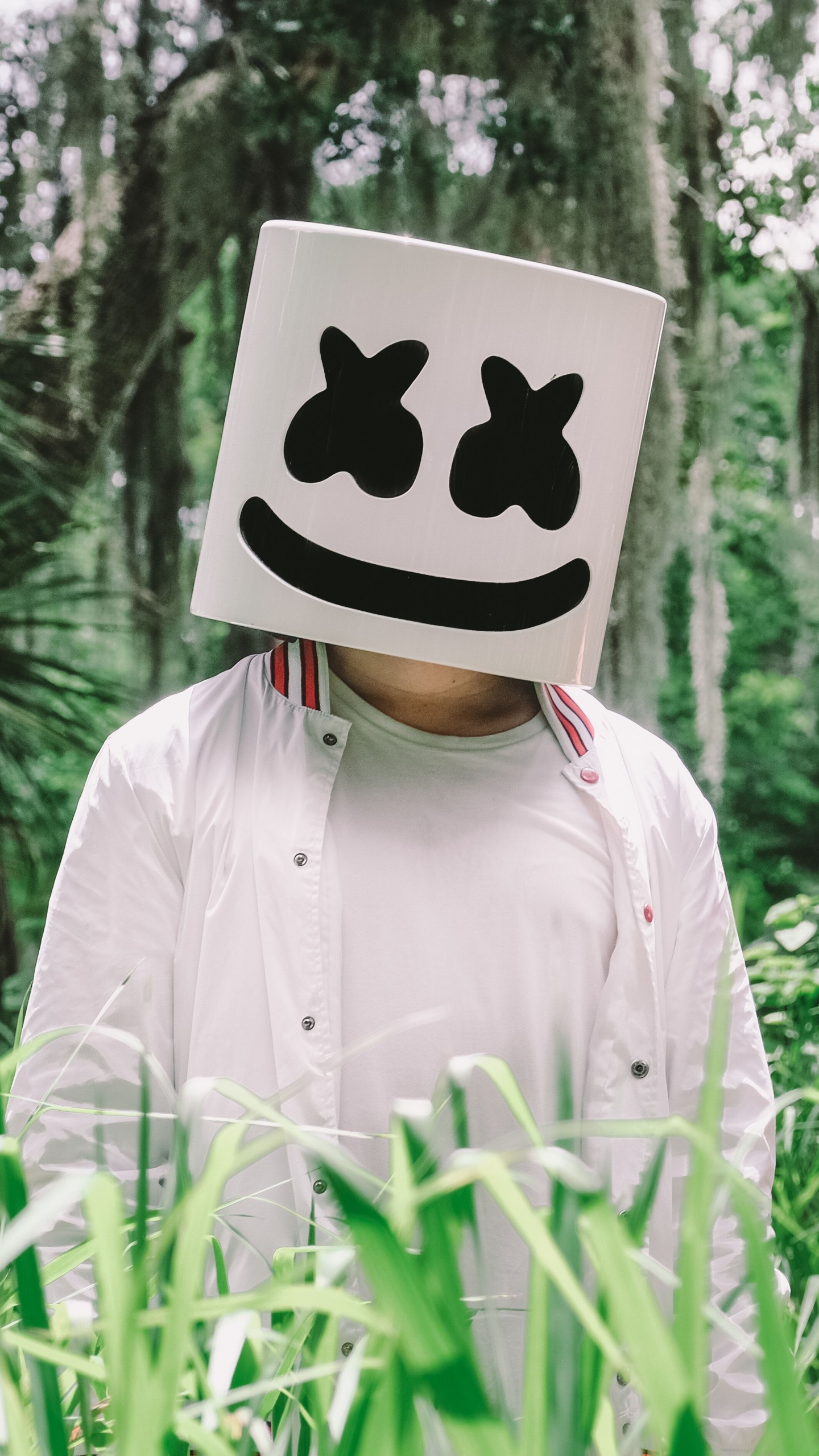 Обои молчание, Люди в природе, дерево, адаптация, растение в разрешении 1440x2560