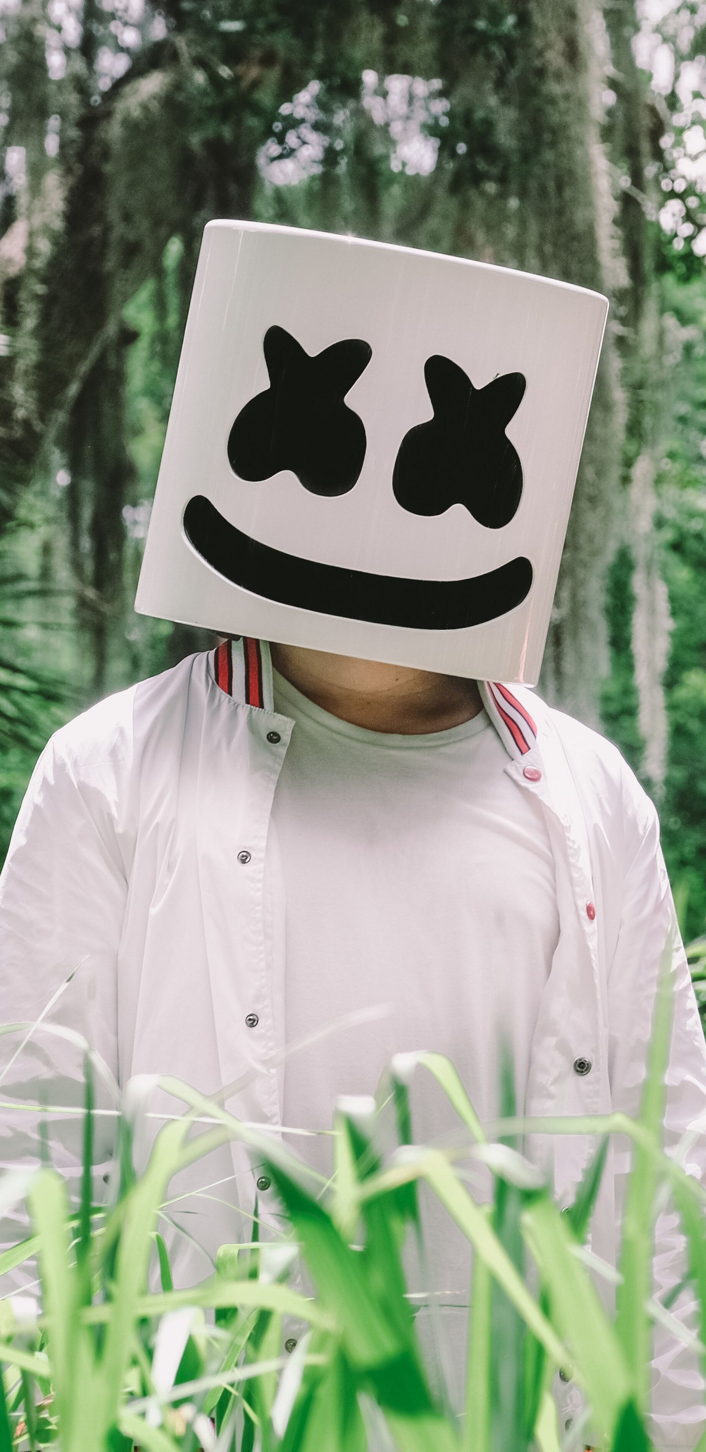 Обои молчание, Люди в природе, дерево, адаптация, растение в разрешении 1440x2960