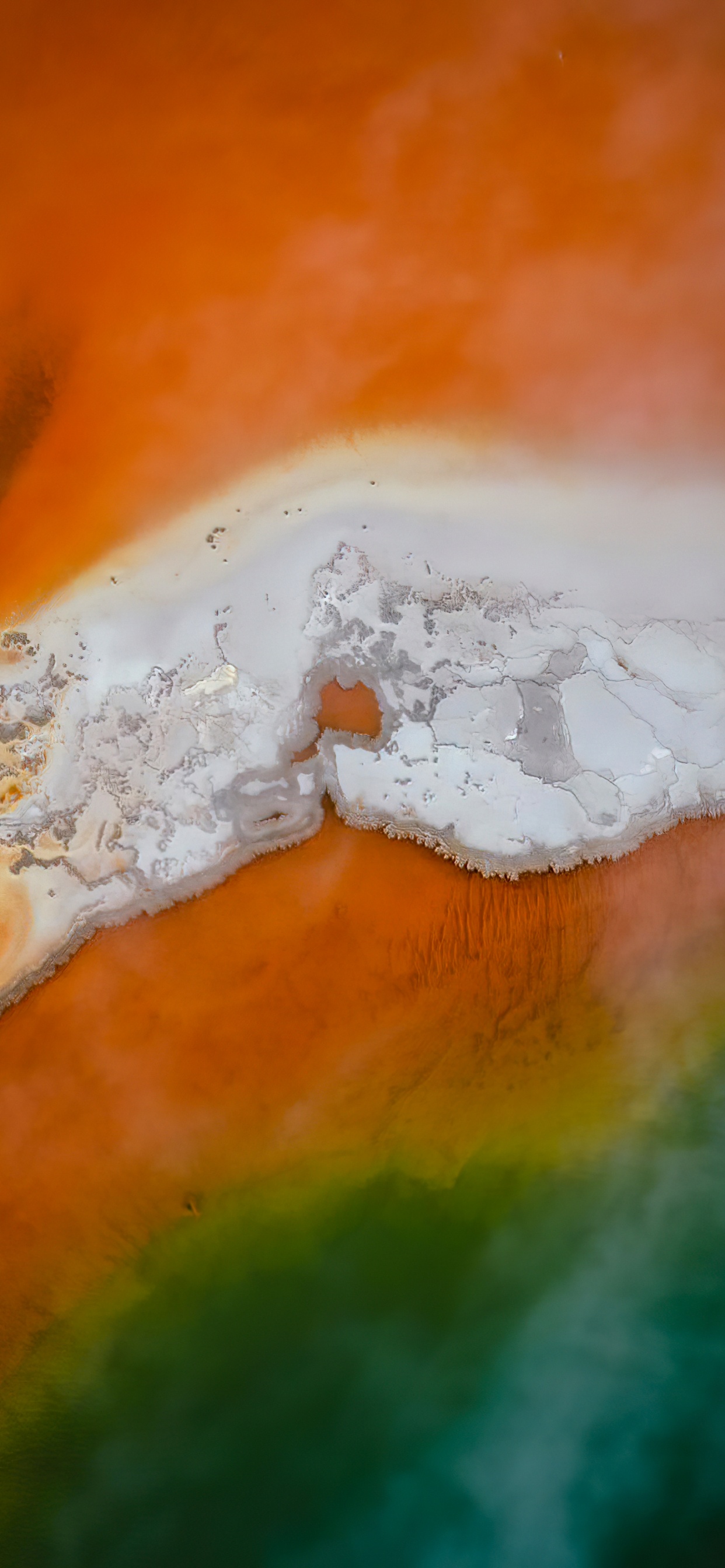 Обои Янтарь, Апельсин, древесина, пейзаж, природный ландшафт в разрешении 1242x2688