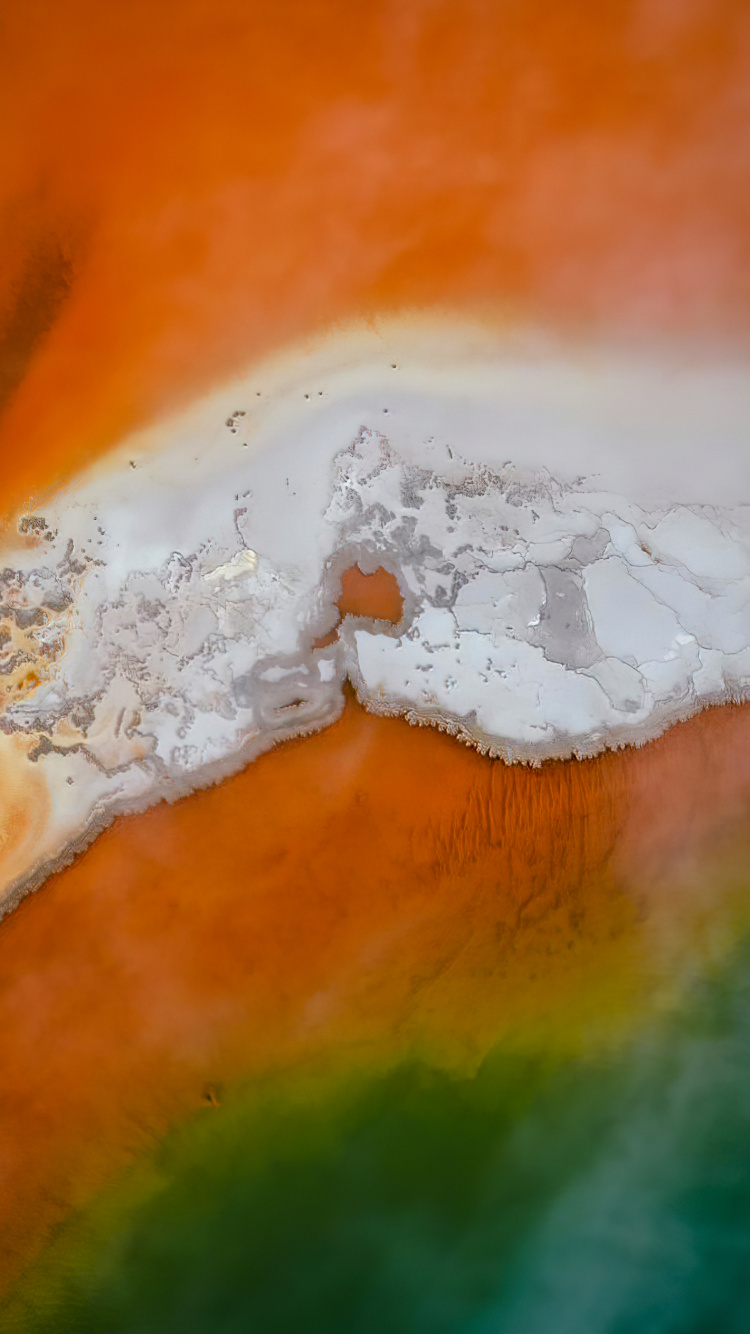 Обои Янтарь, Апельсин, древесина, пейзаж, природный ландшафт в разрешении 750x1334