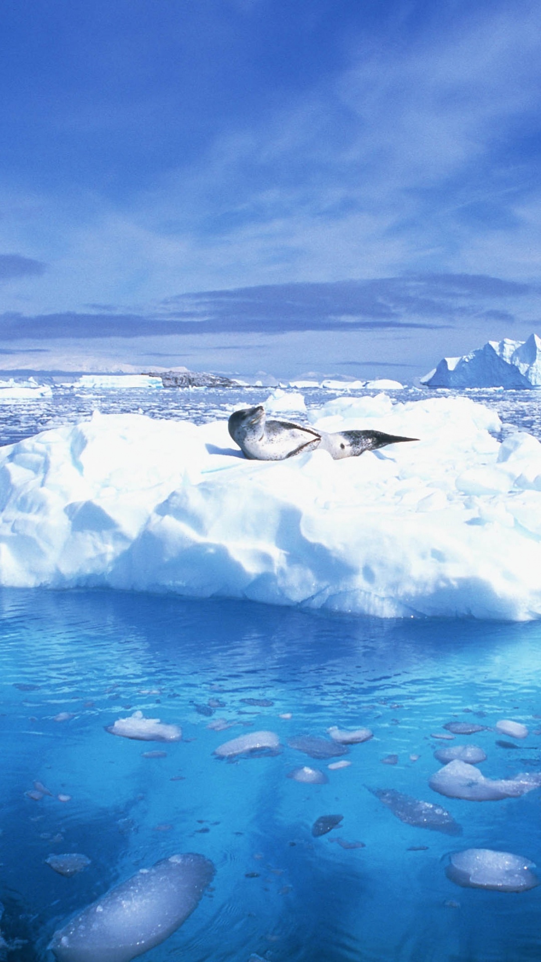 Обои лед океан, Северный Ледовитый океан, океан, лед, морской лед в разрешении 1080x1920