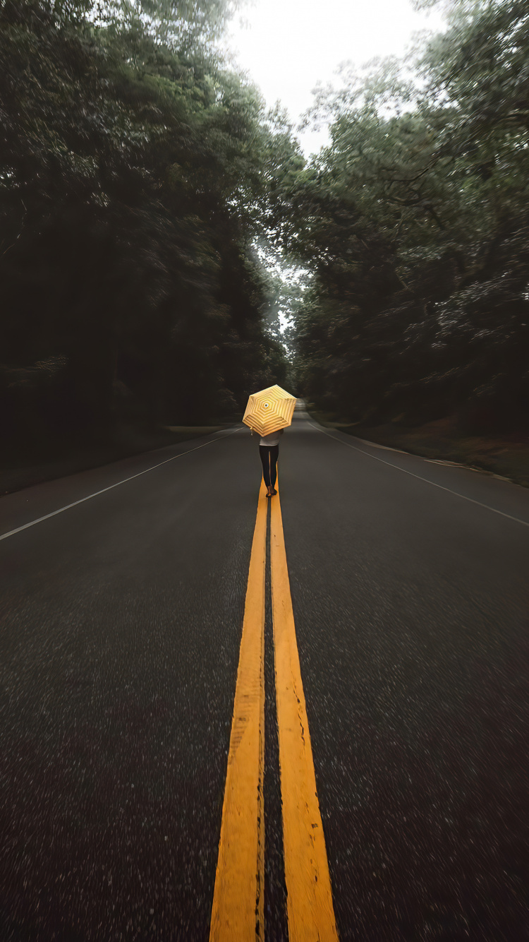 Обои переулок, растение, дорожное покрытие, асфальт, дерево в разрешении 750x1334