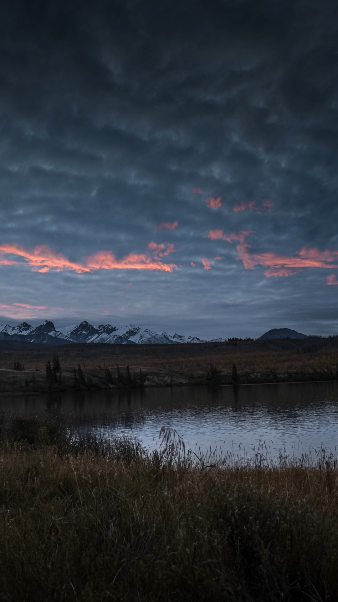 Обои облако, вода, гидроресурсы, атмосфера, растение в разрешении 1080x1920