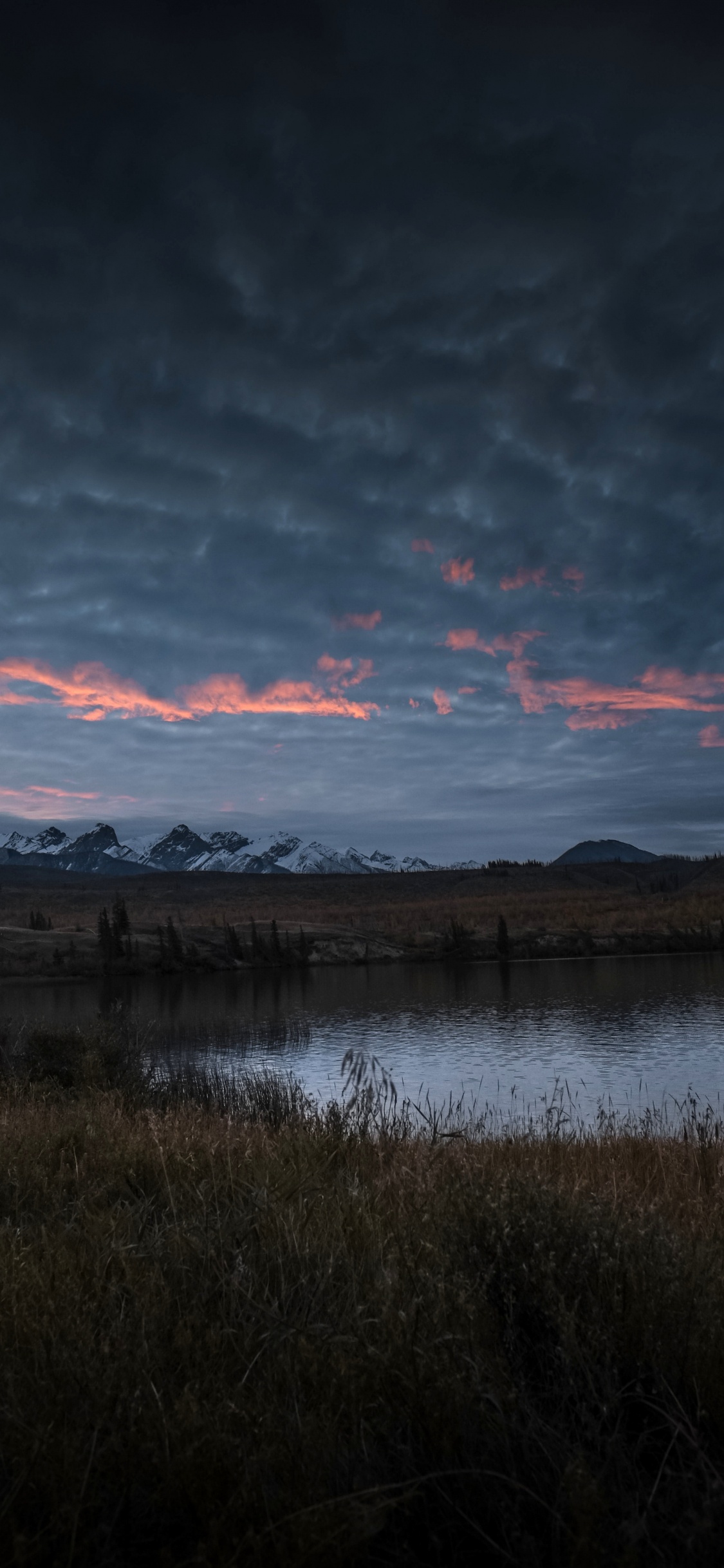 Обои облако, вода, гидроресурсы, атмосфера, растение в разрешении 1125x2436