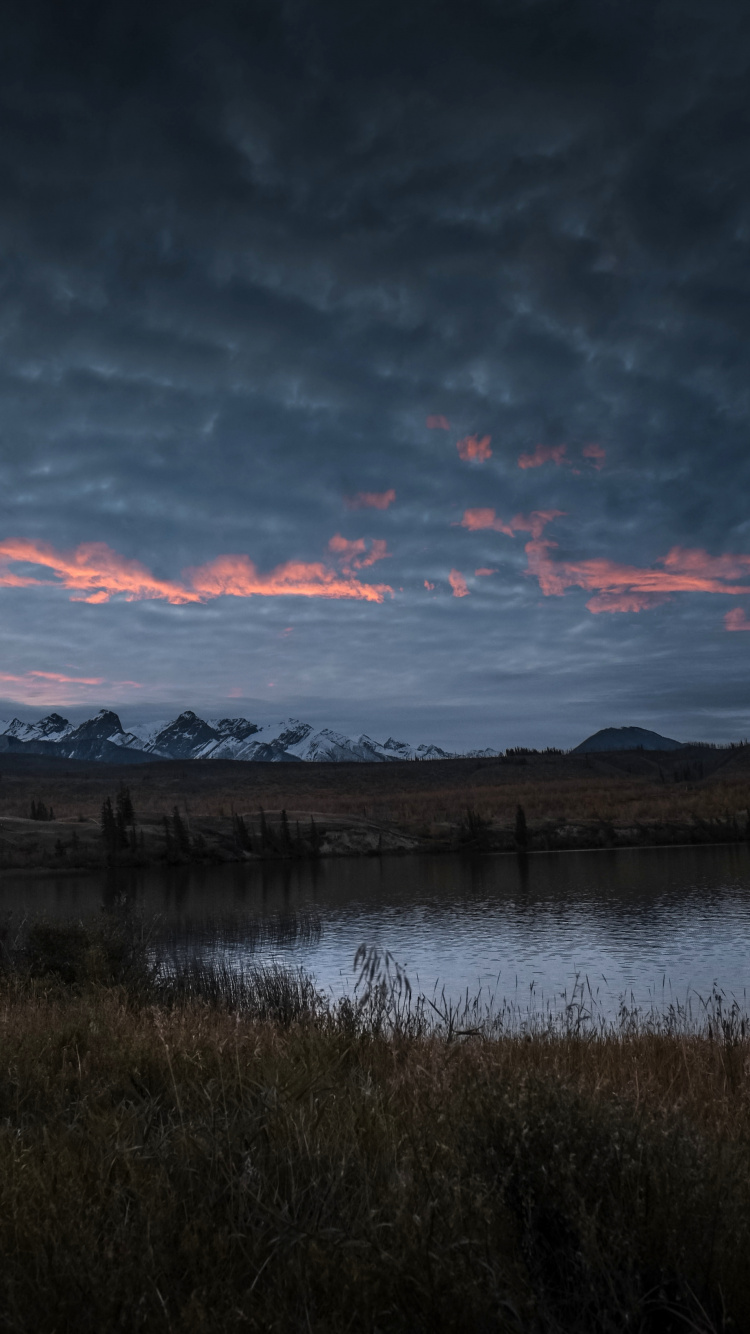 Обои облако, вода, гидроресурсы, атмосфера, растение в разрешении 750x1334