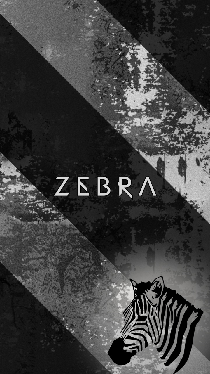 Обои вода, черный и белый, постер, зебра, наземные животные в разрешении 720x1280