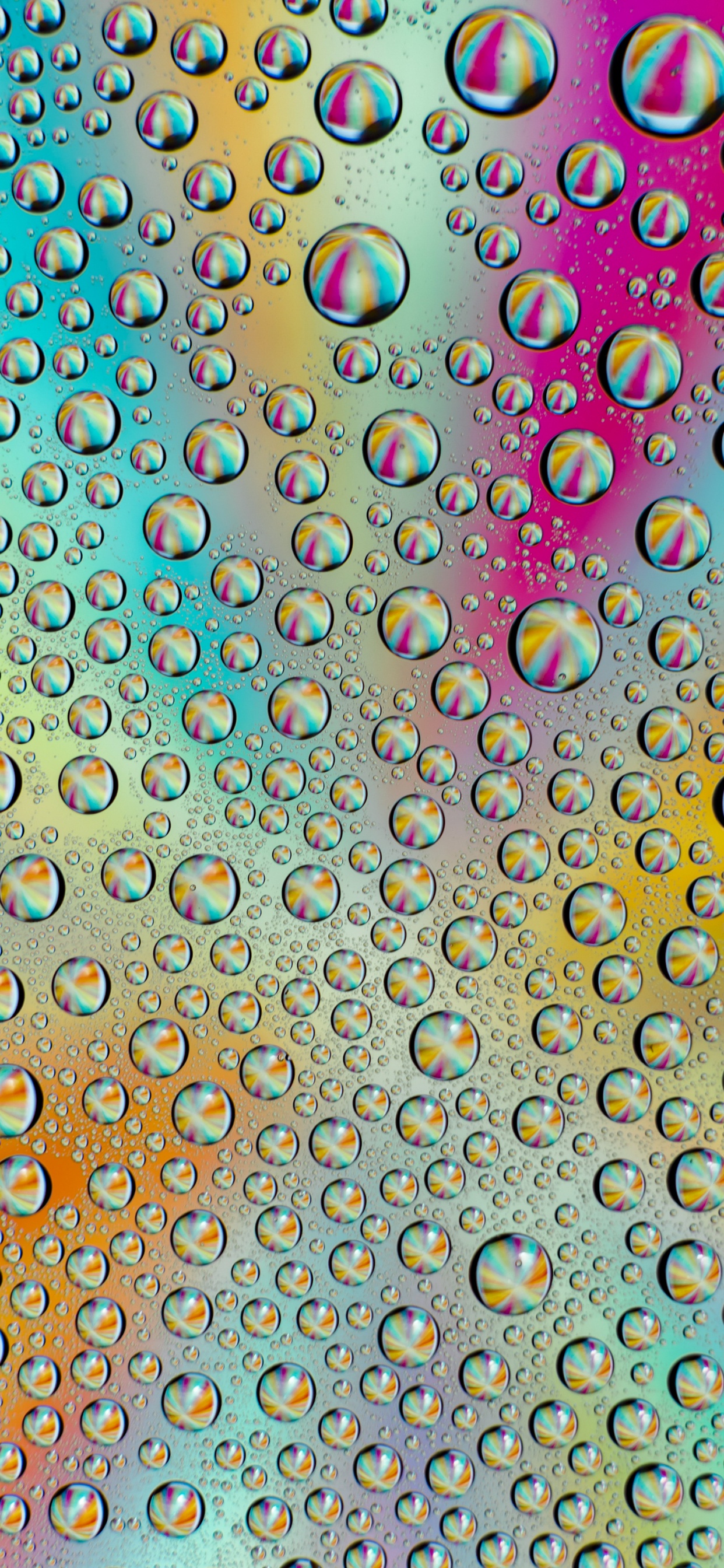 Обои узор, предвычисление, математика, красочность, арт в разрешении 1242x2688