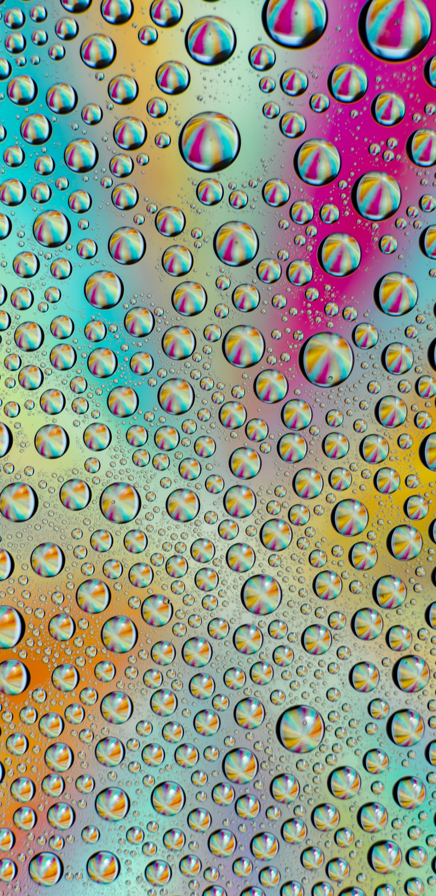 Обои узор, предвычисление, математика, красочность, арт в разрешении 1440x2960