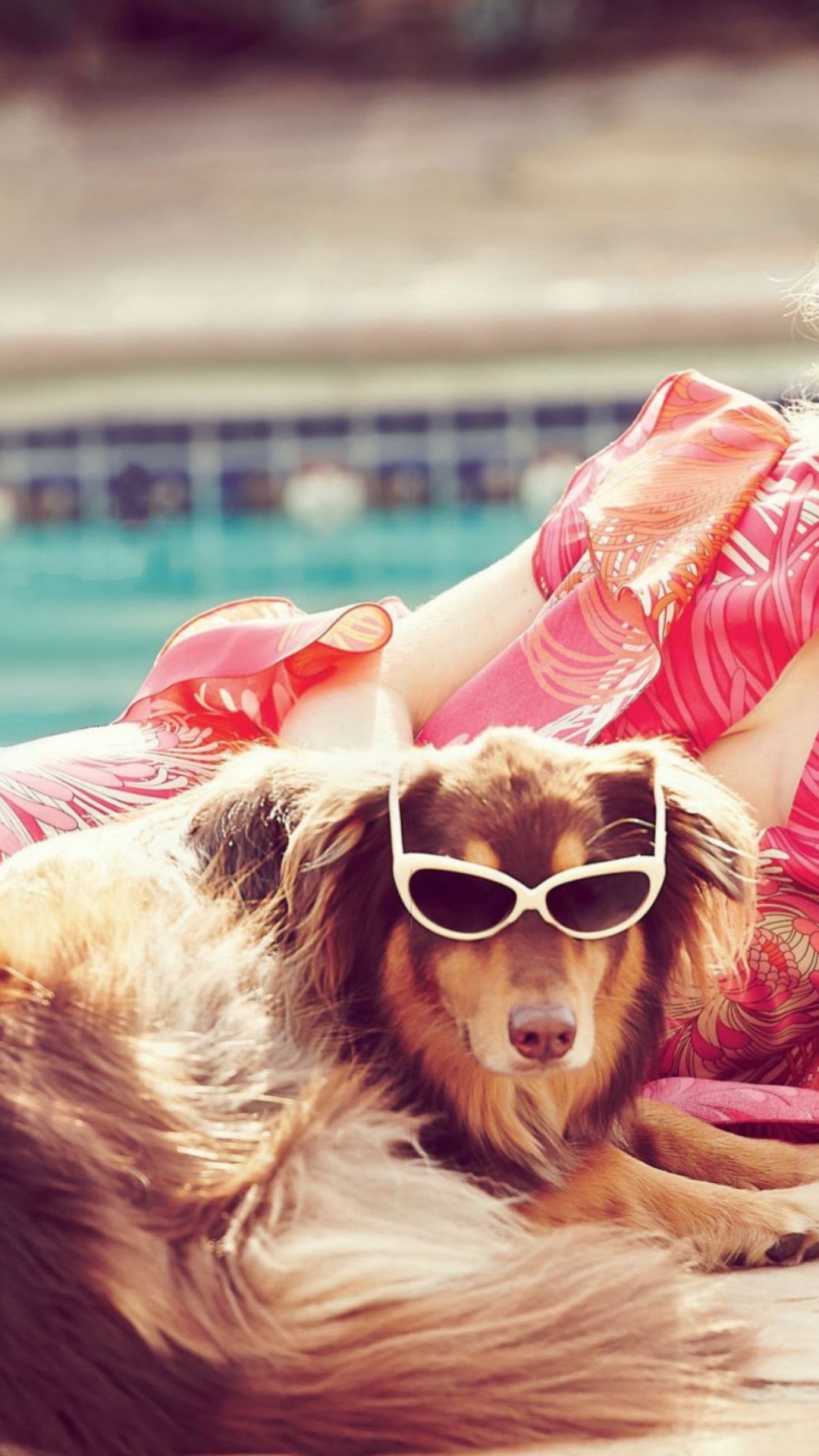 Обои Аманда Сейфрид с собаками, Аманда сейфрид, пес, последнее слово, знаменитость в разрешении 1080x1920