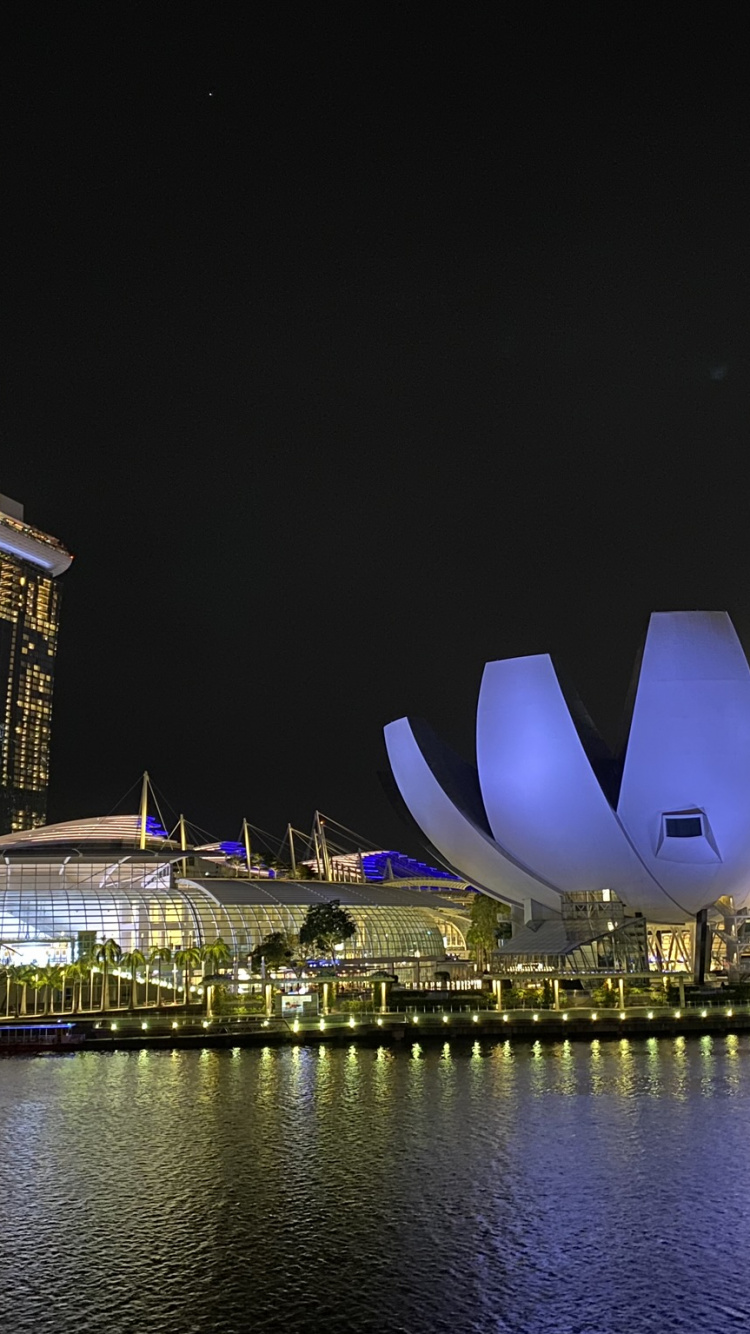 Обои Сингапур, городской пейзаж, Сады у залива, ночь, метрополия в разрешении 750x1334