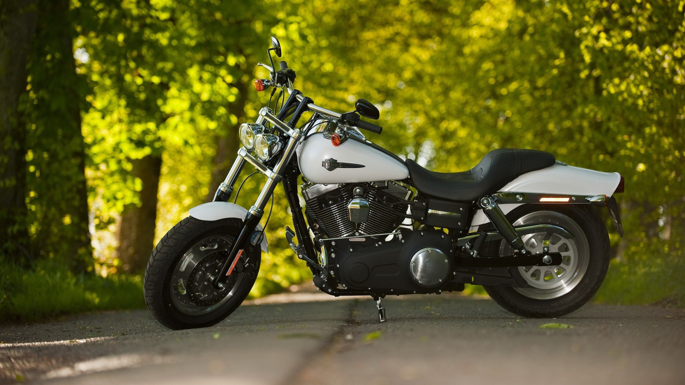 Обои мотоцикл, велосипед, авто, крейсер, королевская энфилдская пуля в разрешении 1366x768