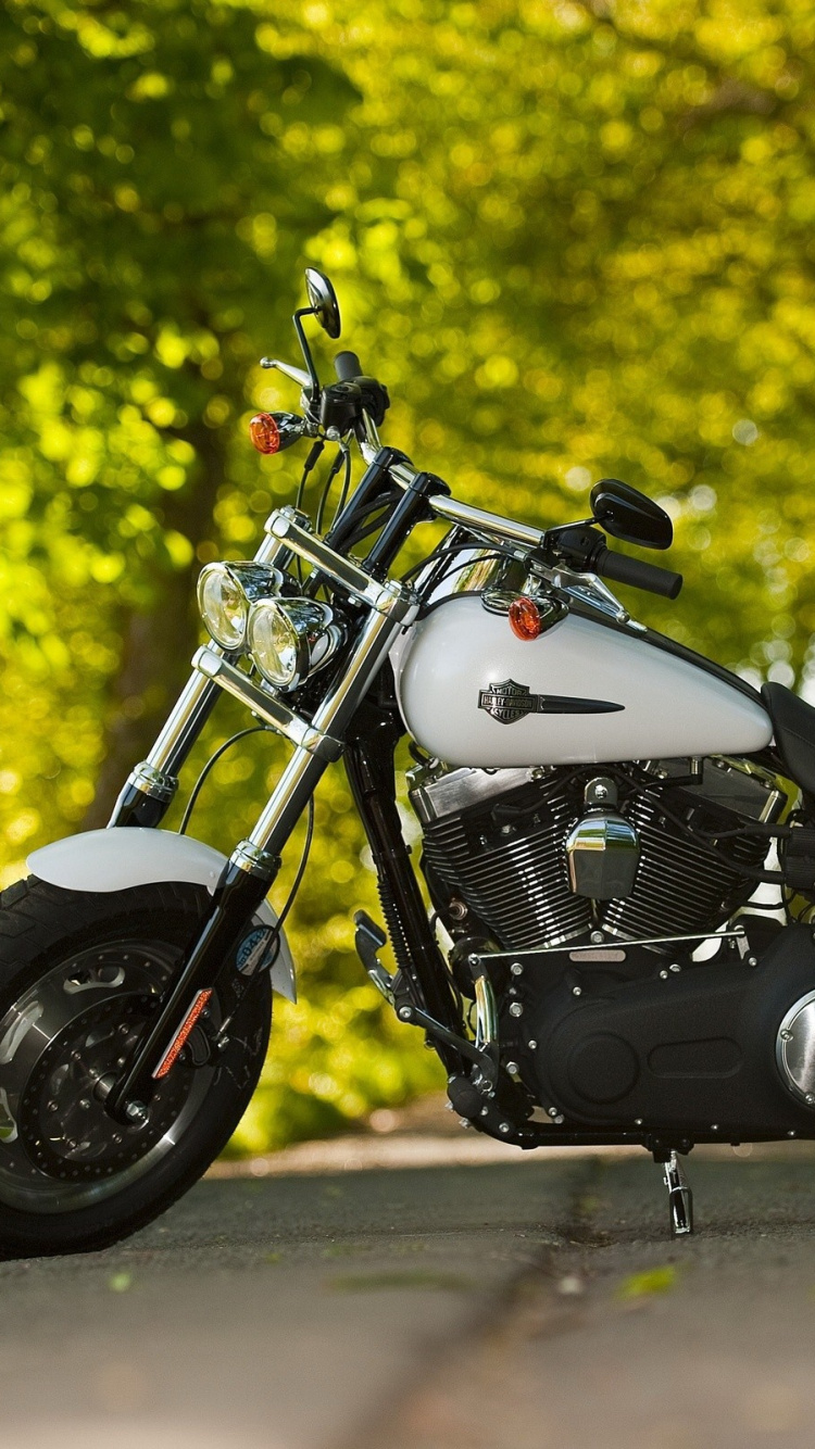 Обои мотоцикл, велосипед, авто, крейсер, королевская энфилдская пуля в разрешении 750x1334