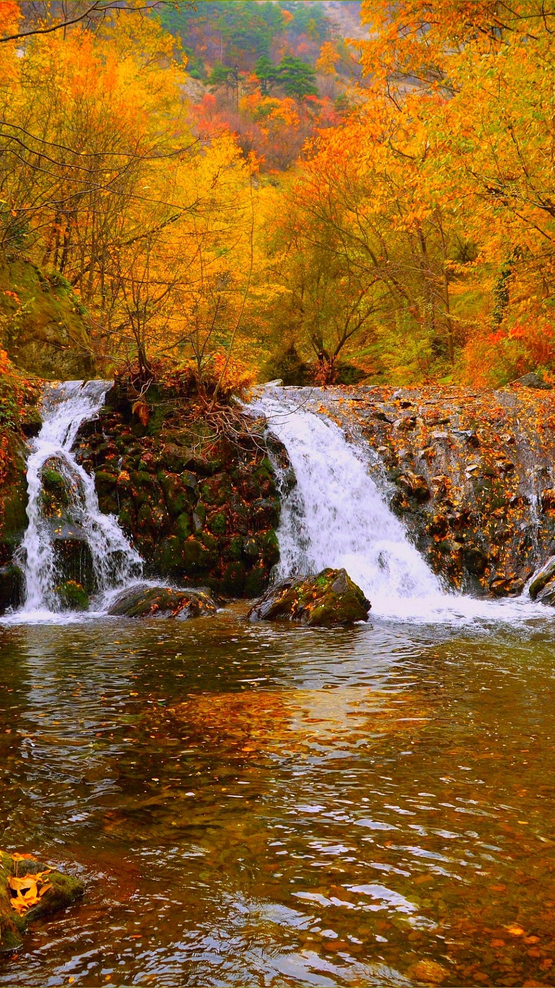 Обои осень, водоем, природа, водопад, поток в разрешении 1080x1920