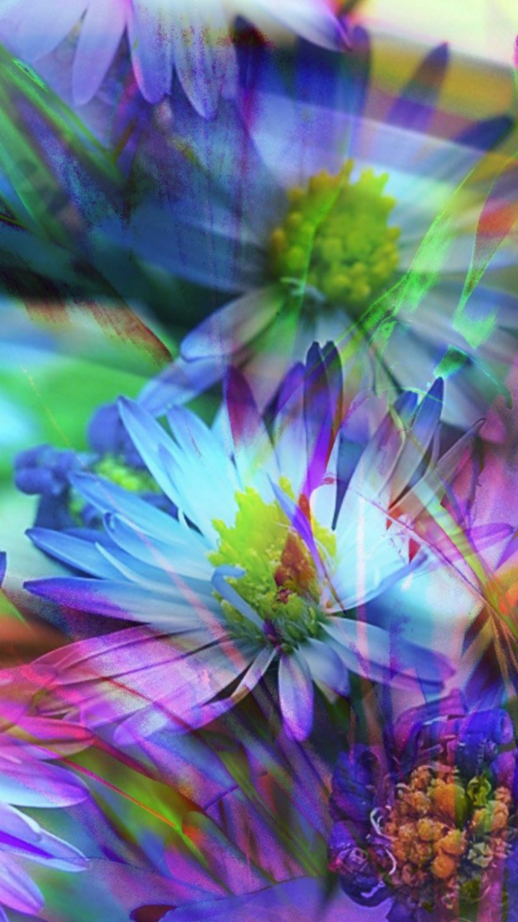 Обои весна, цветок, пурпур, лепесток, растение в разрешении 750x1334