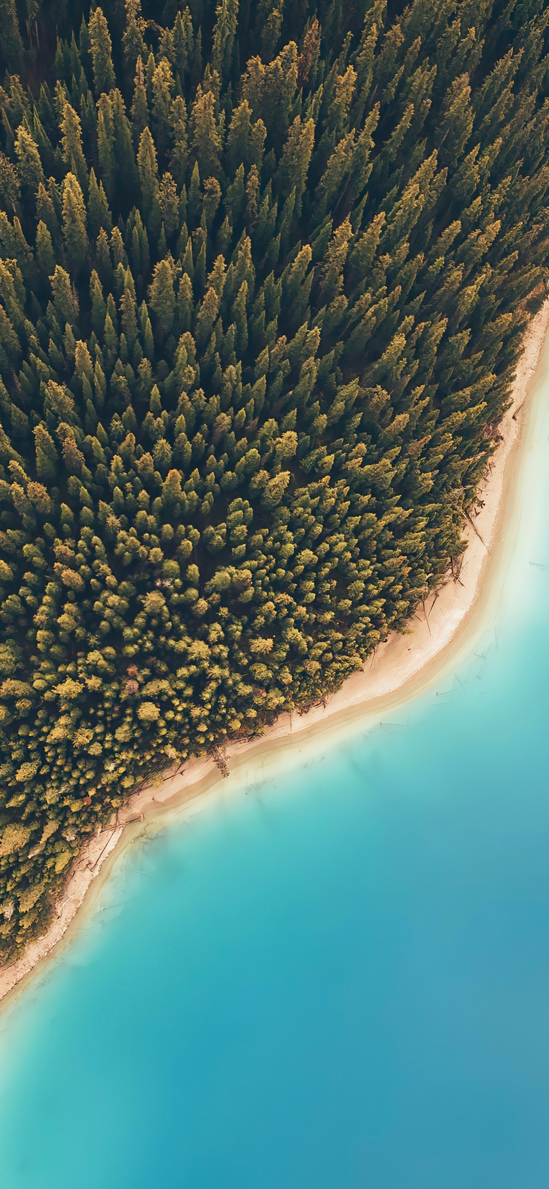 Обои Erfelek tatlica Falls, с высоты птичьего полета, вода, растение, гидроресурсы в разрешении 1125x2436