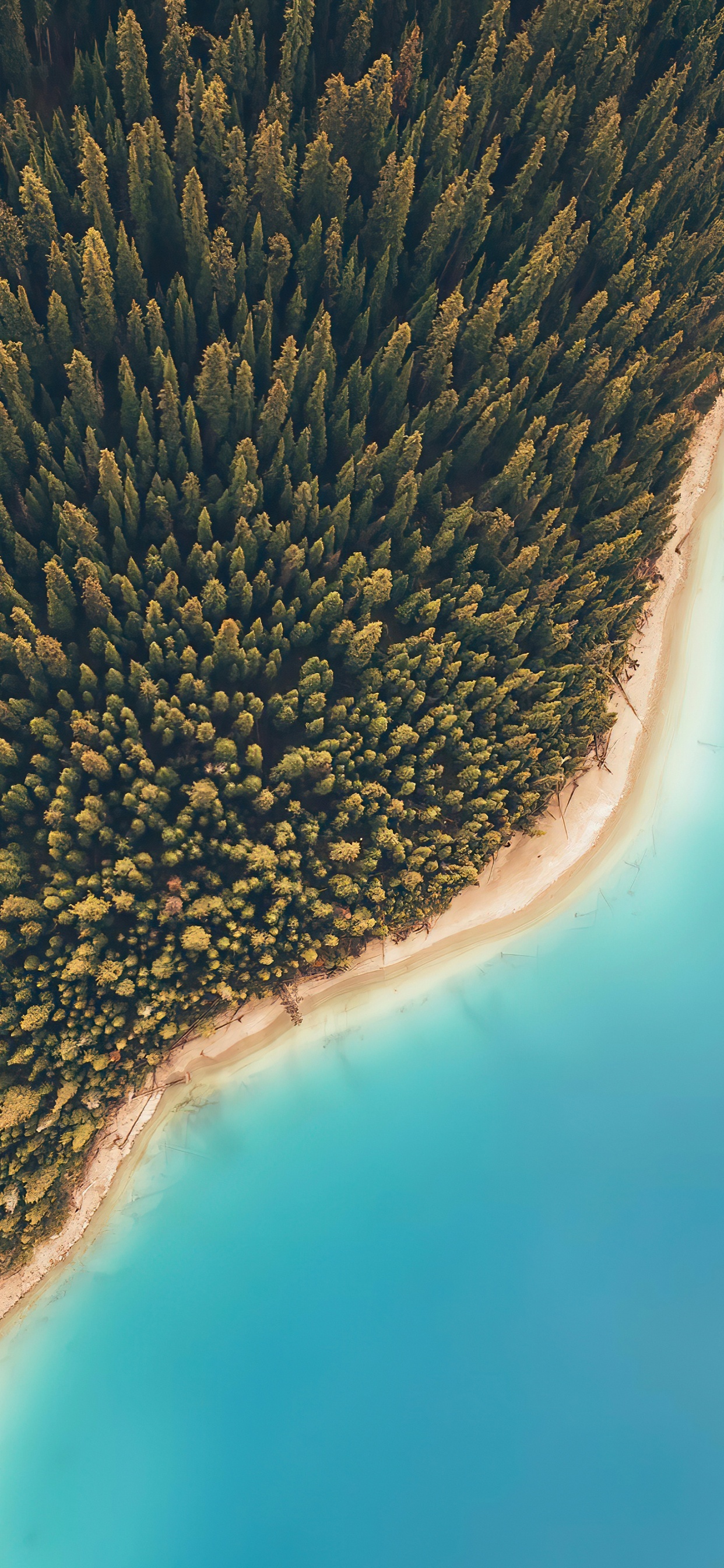 Обои Erfelek tatlica Falls, с высоты птичьего полета, вода, растение, гидроресурсы в разрешении 1242x2688