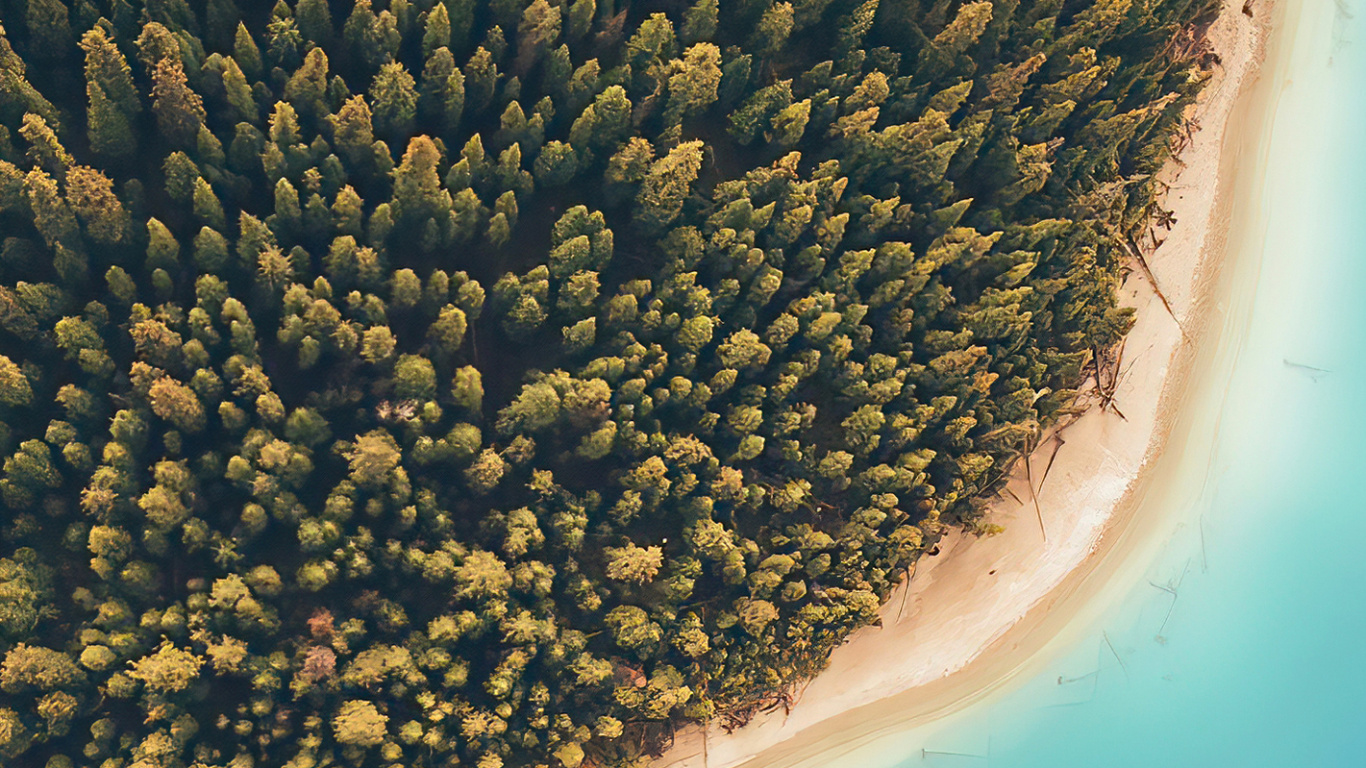 Обои Erfelek tatlica Falls, с высоты птичьего полета, вода, растение, гидроресурсы в разрешении 1366x768