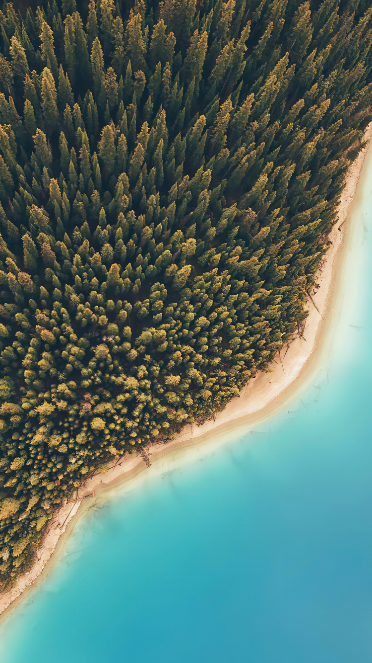 Обои Erfelek tatlica Falls, с высоты птичьего полета, вода, растение, гидроресурсы в разрешении 750x1334